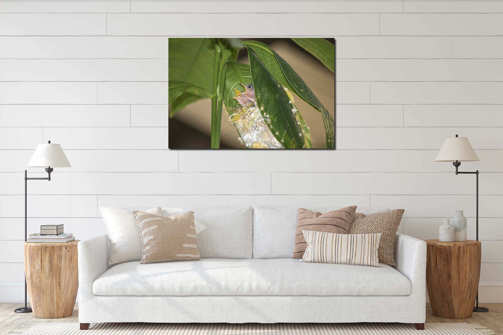 Baby Common Tailor bird Orthotomus sutorius in the nest on the tree interior mockup