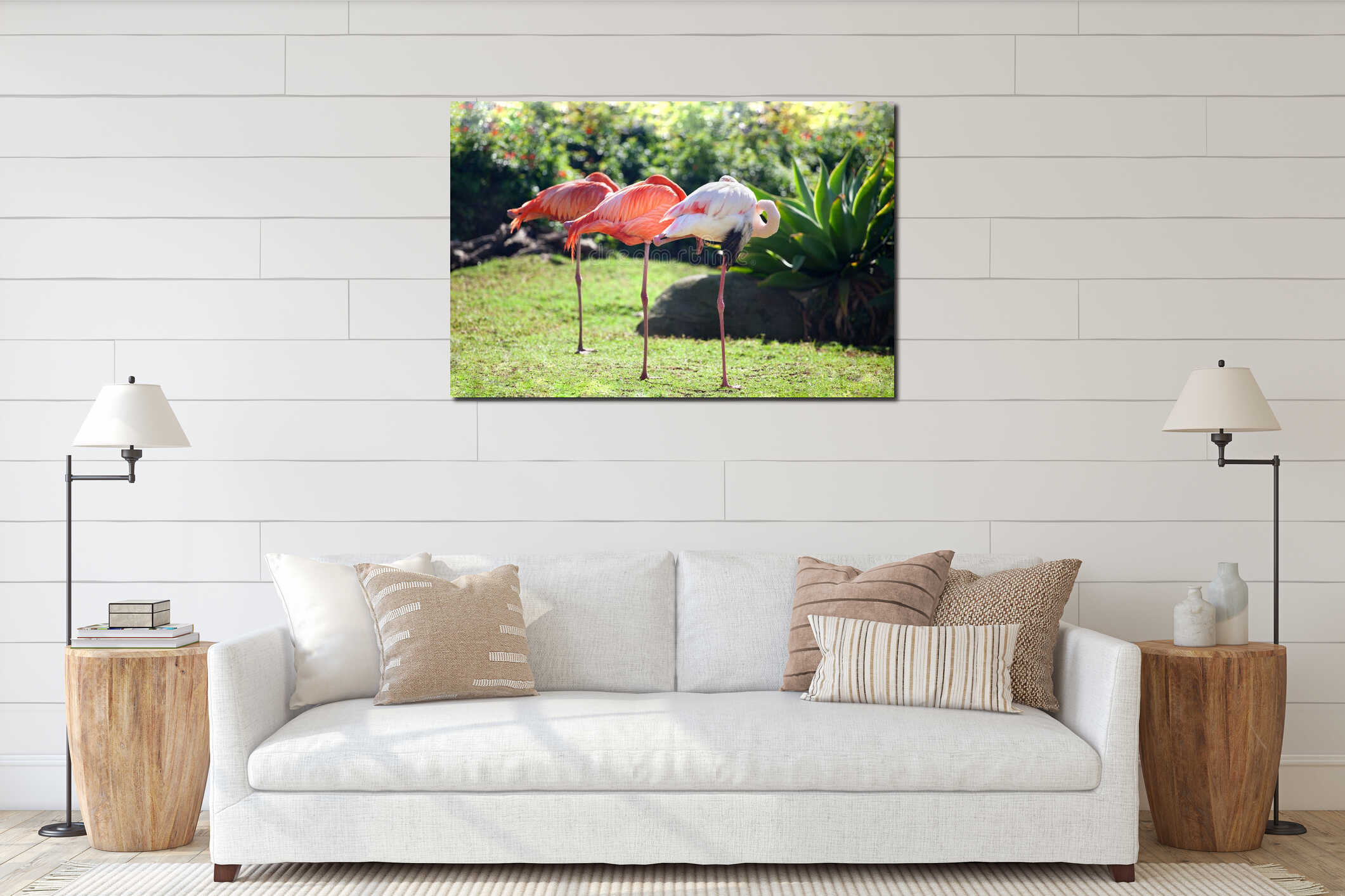 Three beautiful flamingos, two pink flamingos and one white flamingo stand in row together on one leg on green grass interior mockup