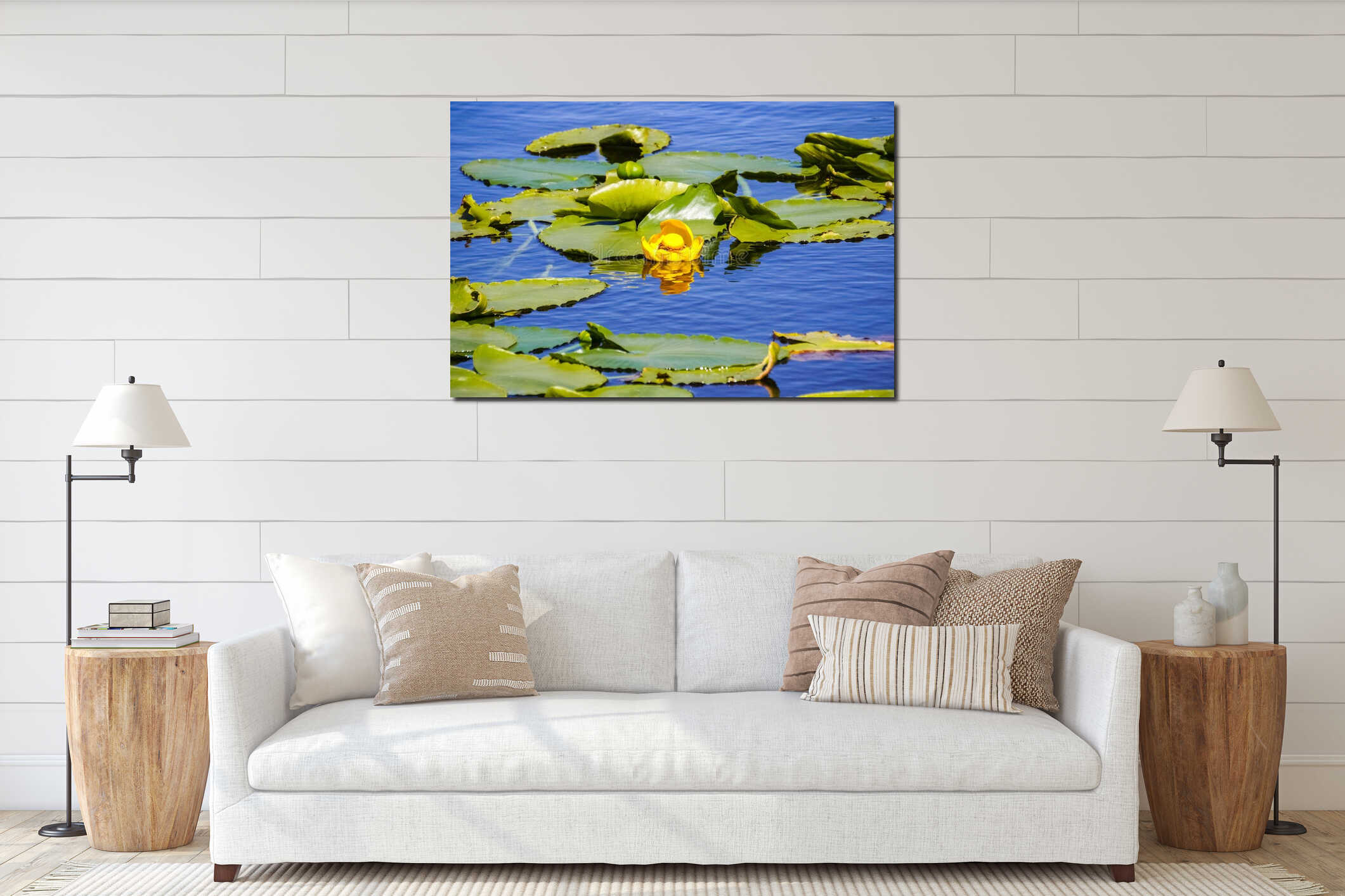 Water lilies close up, Yellowstone National Park interior mockup