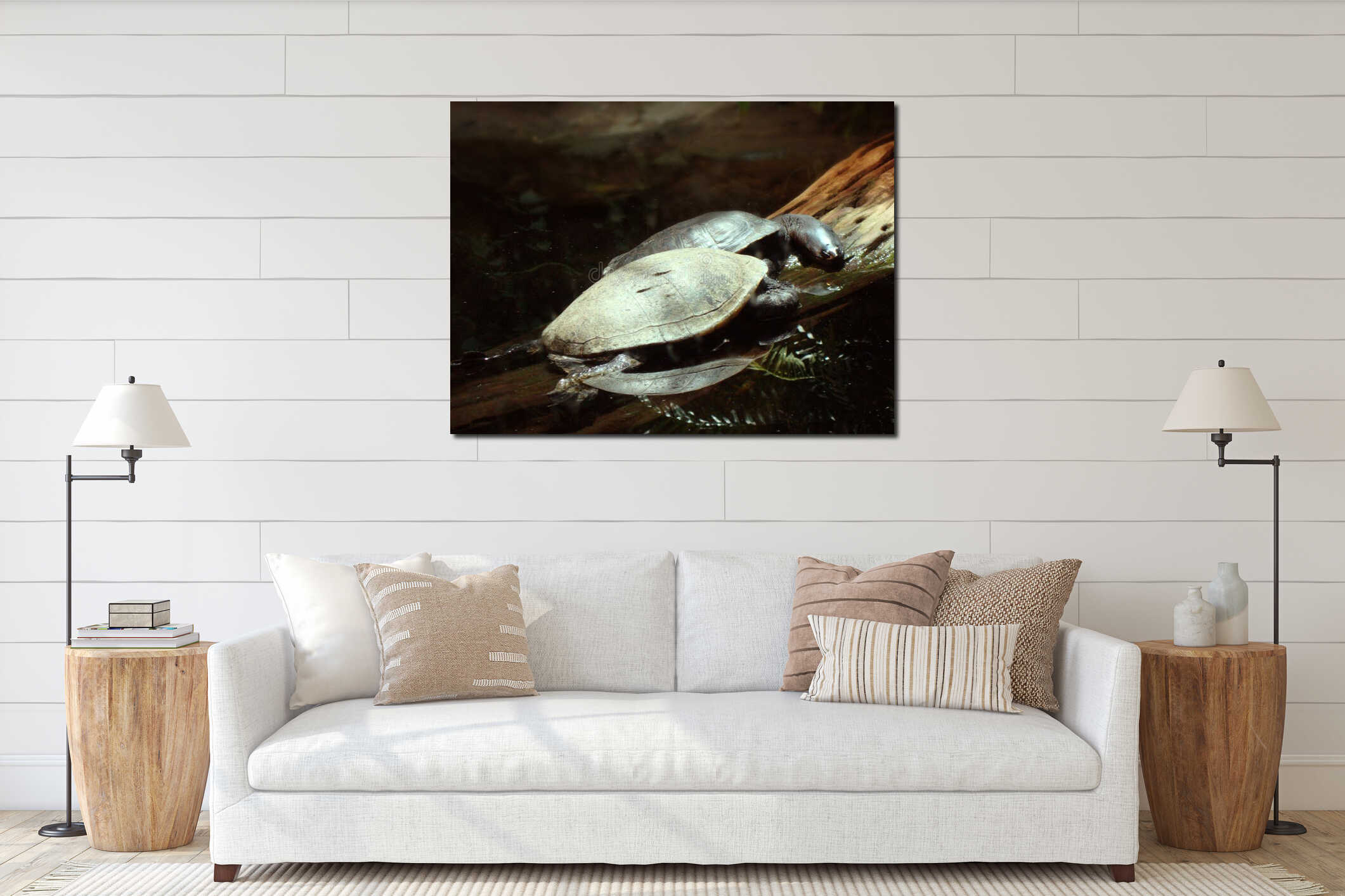Two long necked turtles resting on a log interior mockup