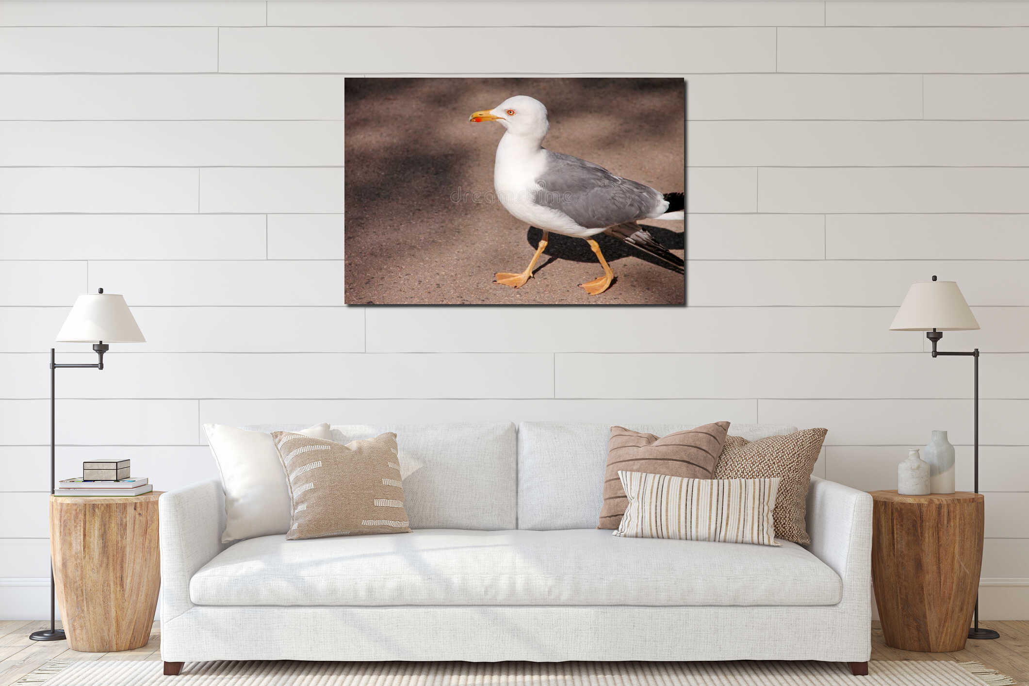 Portrait of single seagull. Beautiful white bird seagull rest and posing on street, close up. Fun seagull standing. interior mockup