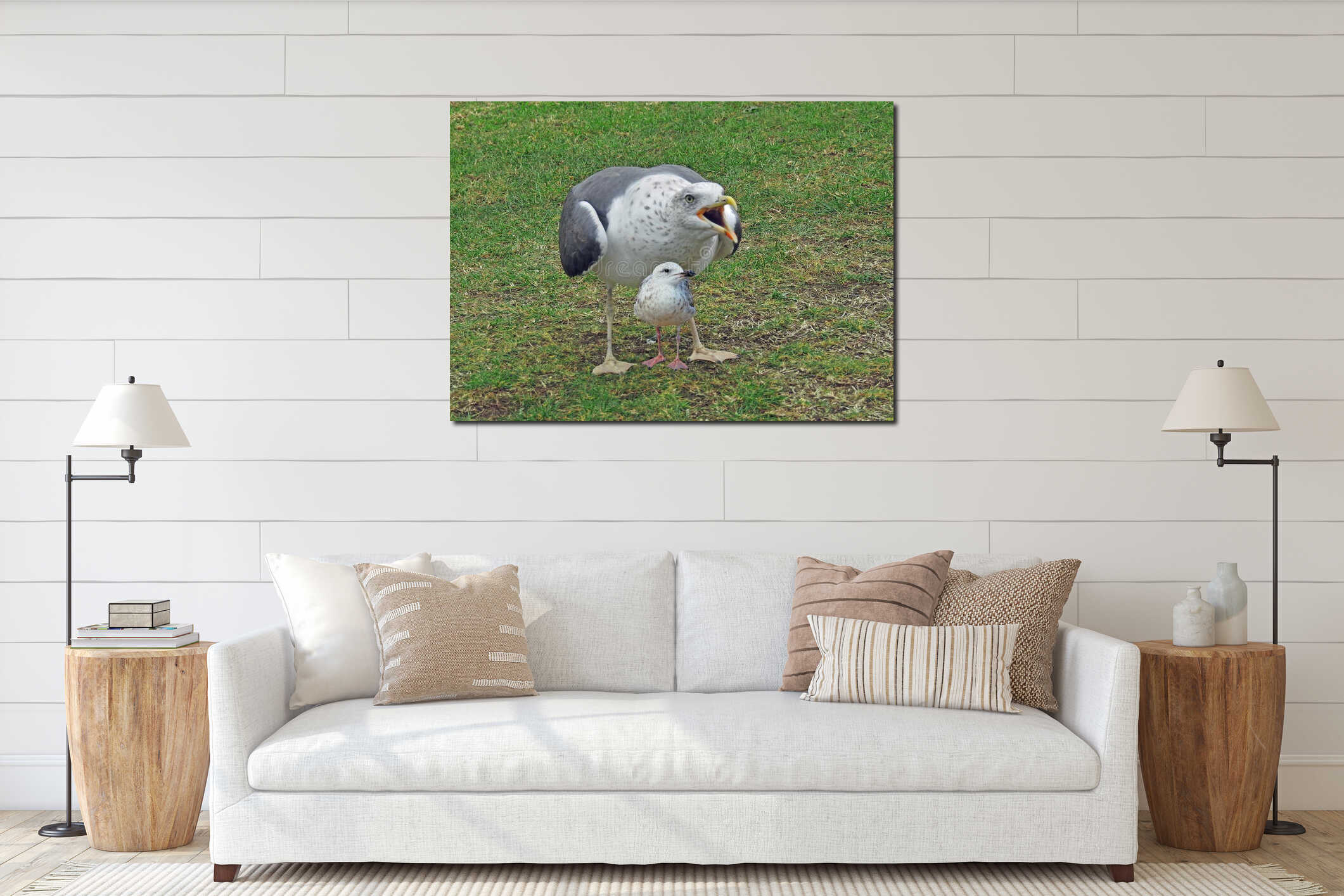 Mummy seagull protecting baby from predators interior mockup