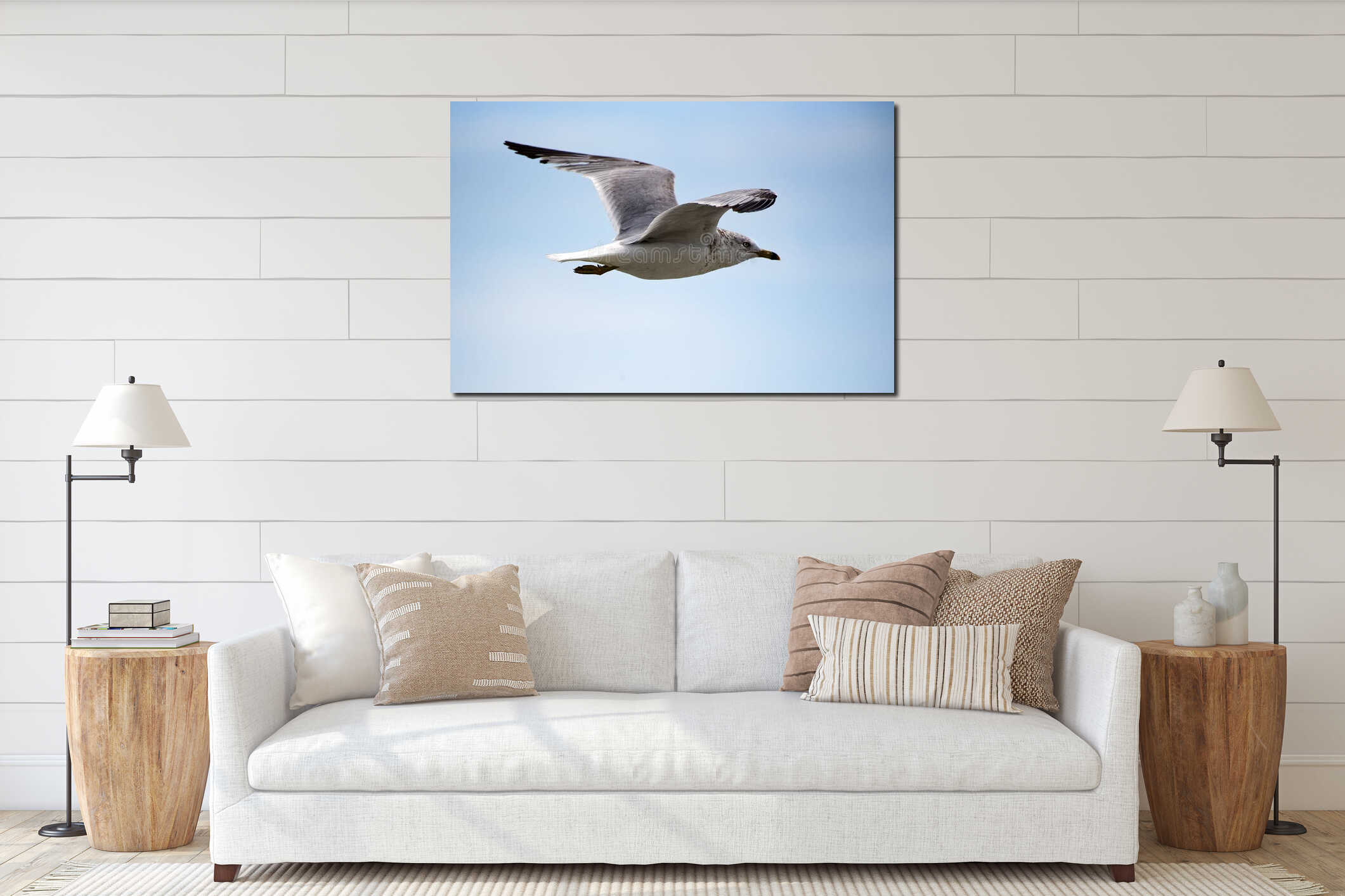 A closeup of a seagull in flight against a blue sky. interior mockup