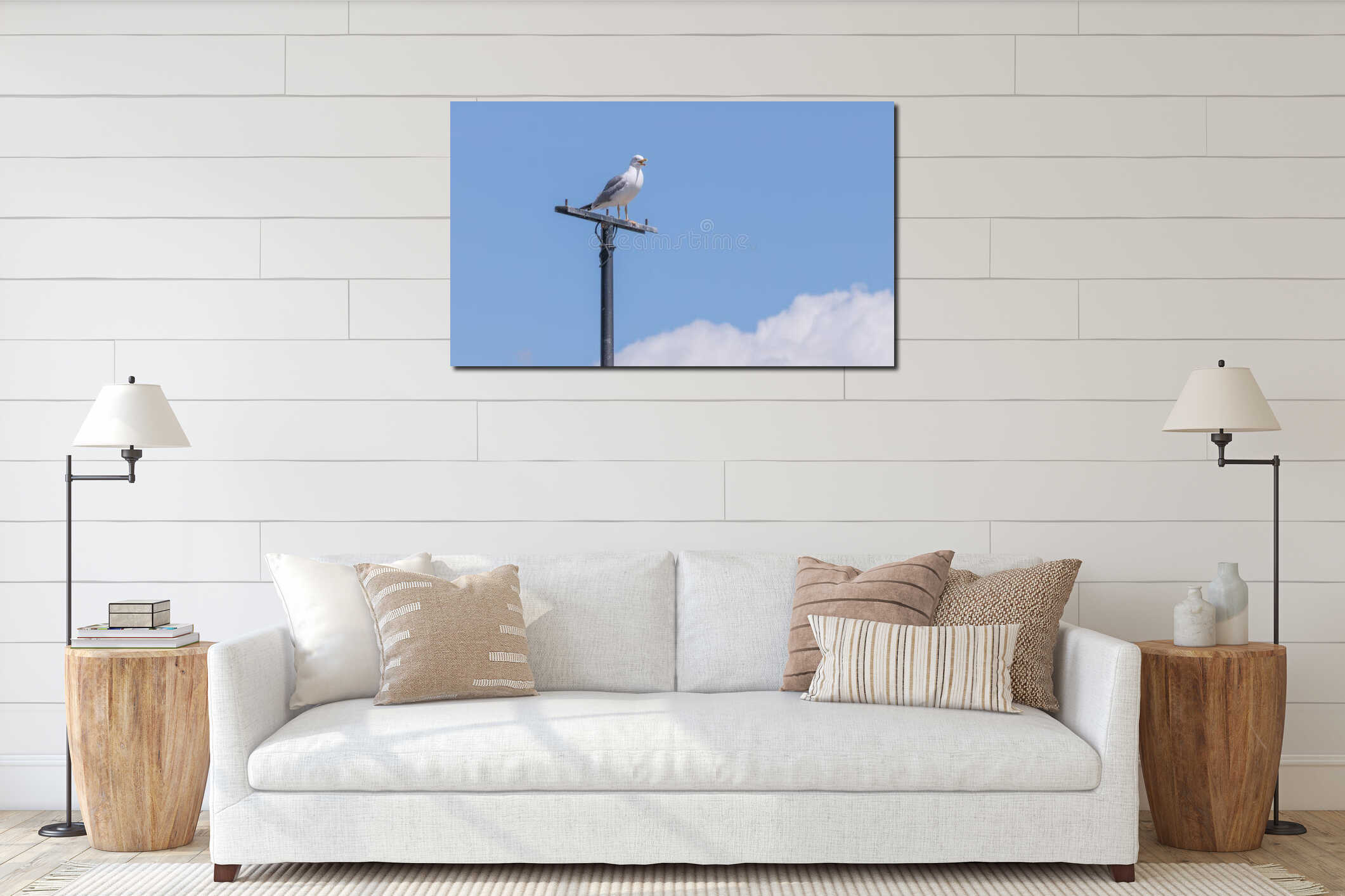 Seagull perched squawking with sky background interior mockup