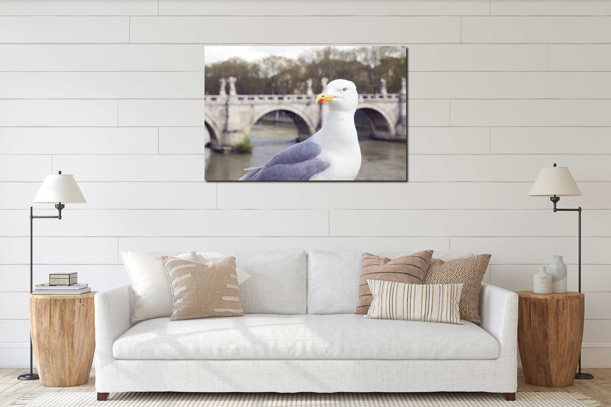 Seagull on river Tiber in Rome, with head turned right and staring interior mockup