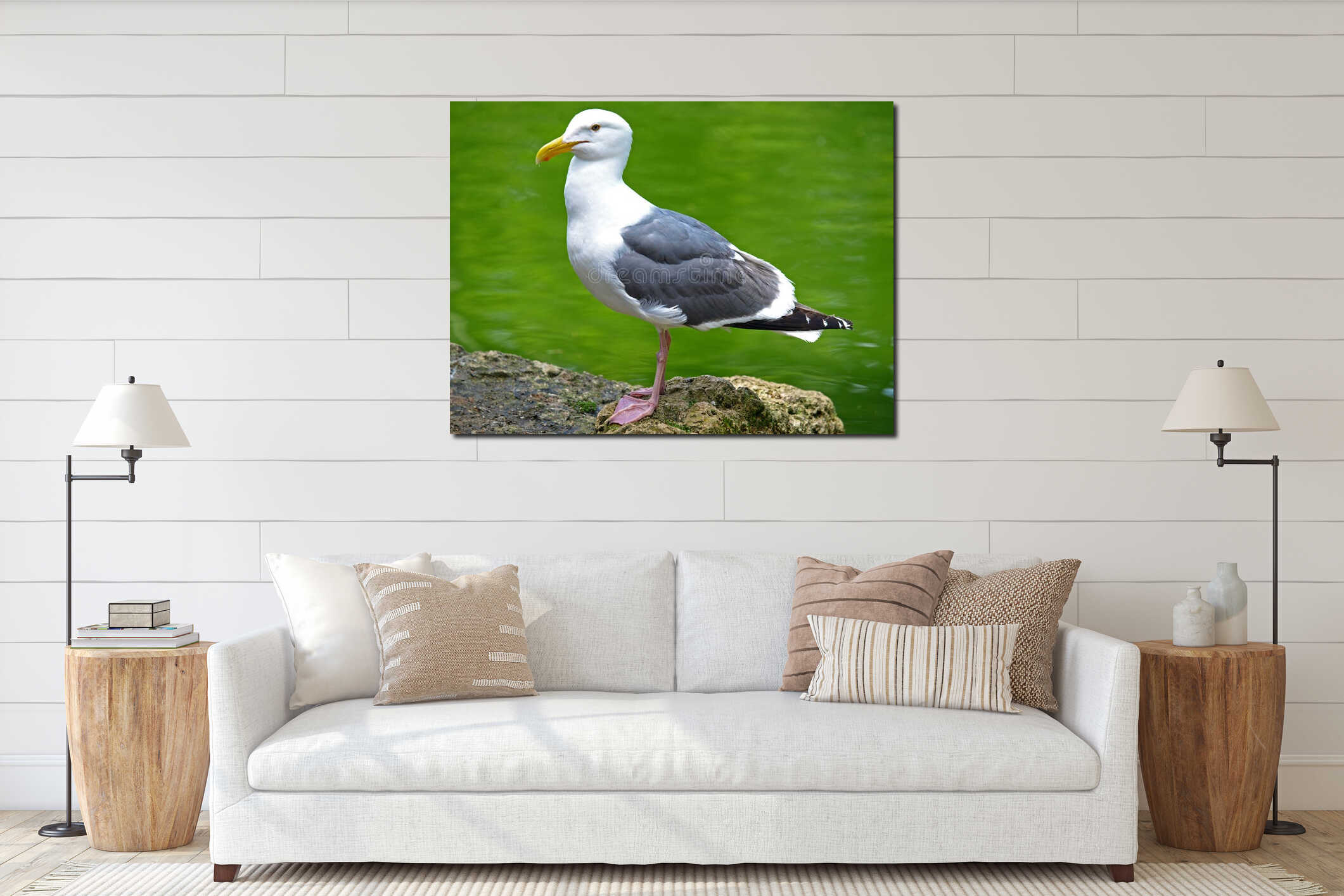 Seagull Standing in front of Green Background interior mockup