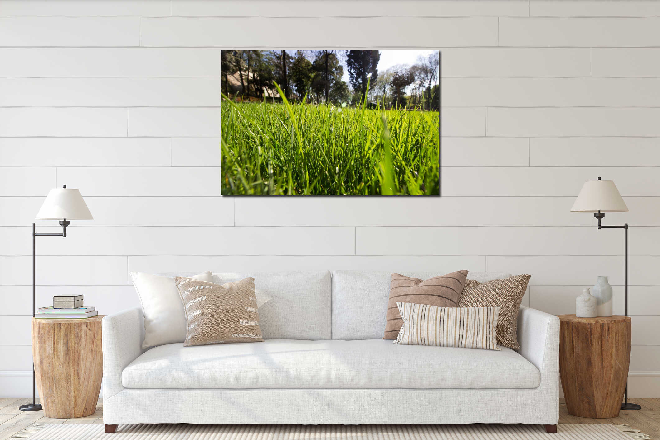Spring Time for Istanbul April 2019, Grassy Field, Bright and Sunny Day. interior mockup