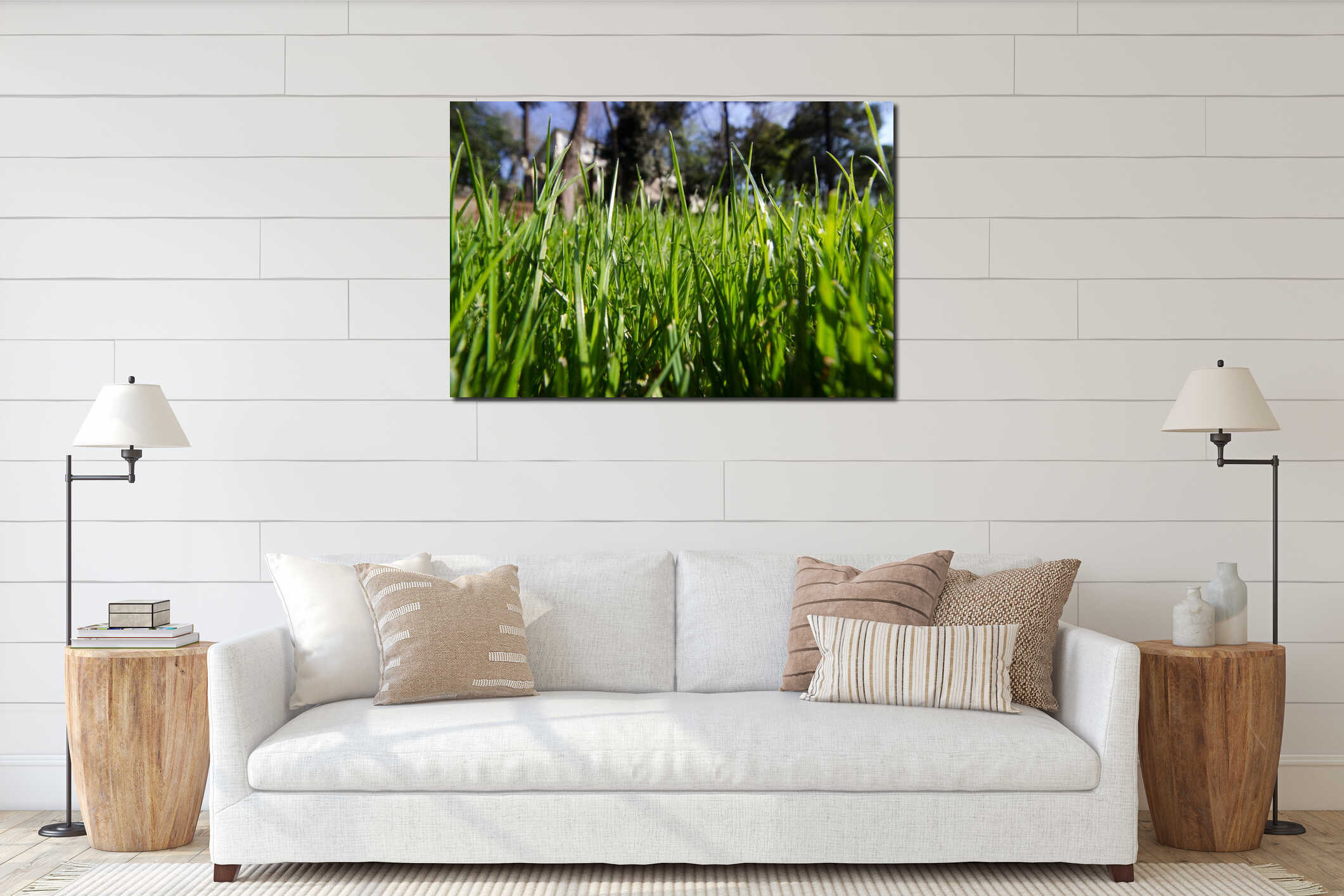 Spring Time for Istanbul April 2019, Grassy Field, Bright and Sunny Day. interior mockup