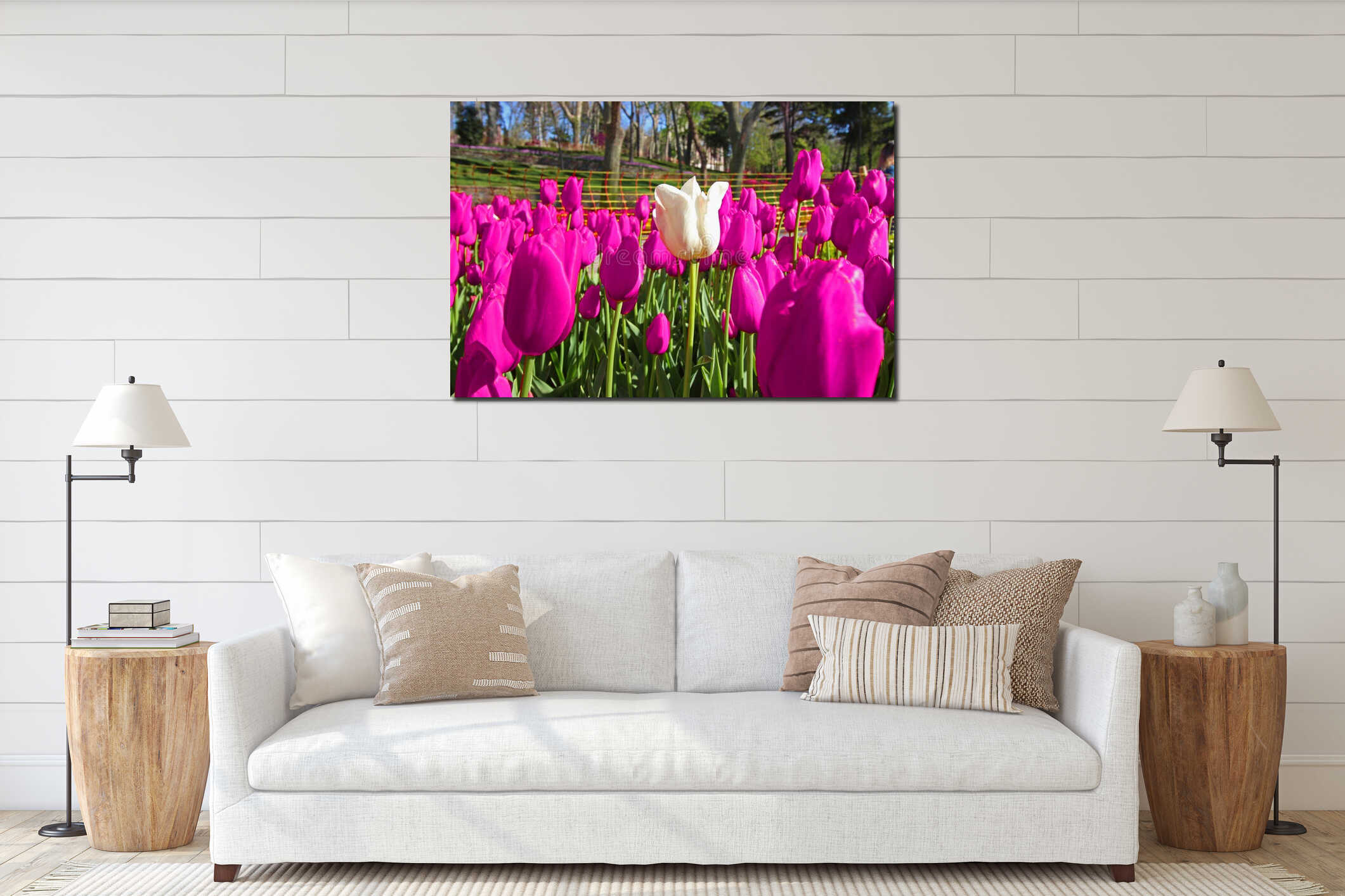 Spring Time For Istanbul April 2019, Tulip Field, Colorful Tulips, White Tulip at the Middle of Colorful Field interior mockup