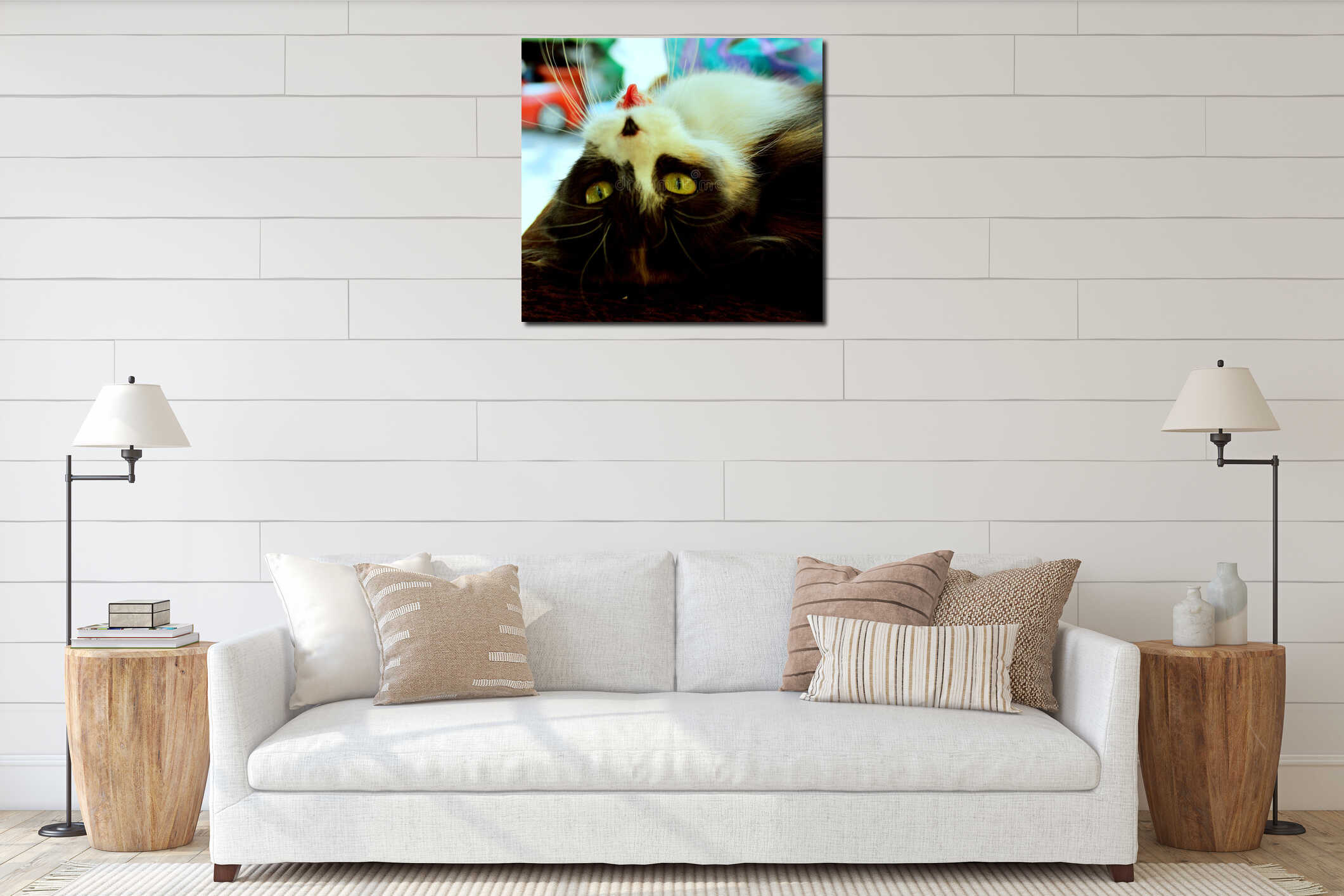 Cats our pets will never stop us to chase with their unusual charm and beauty interior mockup