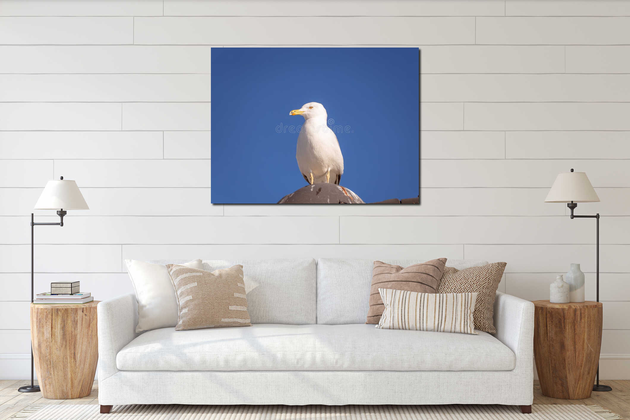 White common seagull - blue sky background interior mockup