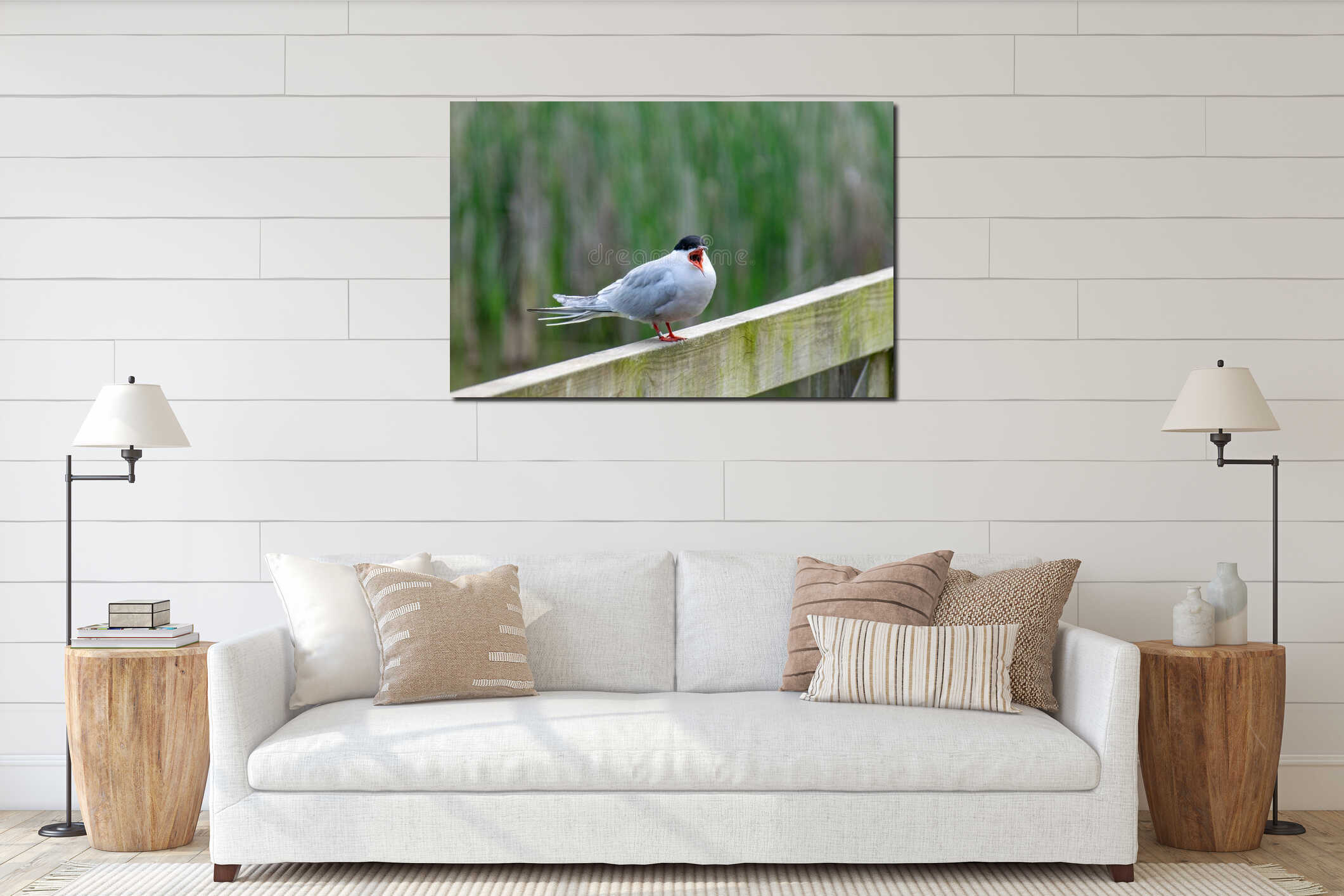Common tern sterna hirundo perched on a wooden fence above a no fishing sign interior mockup