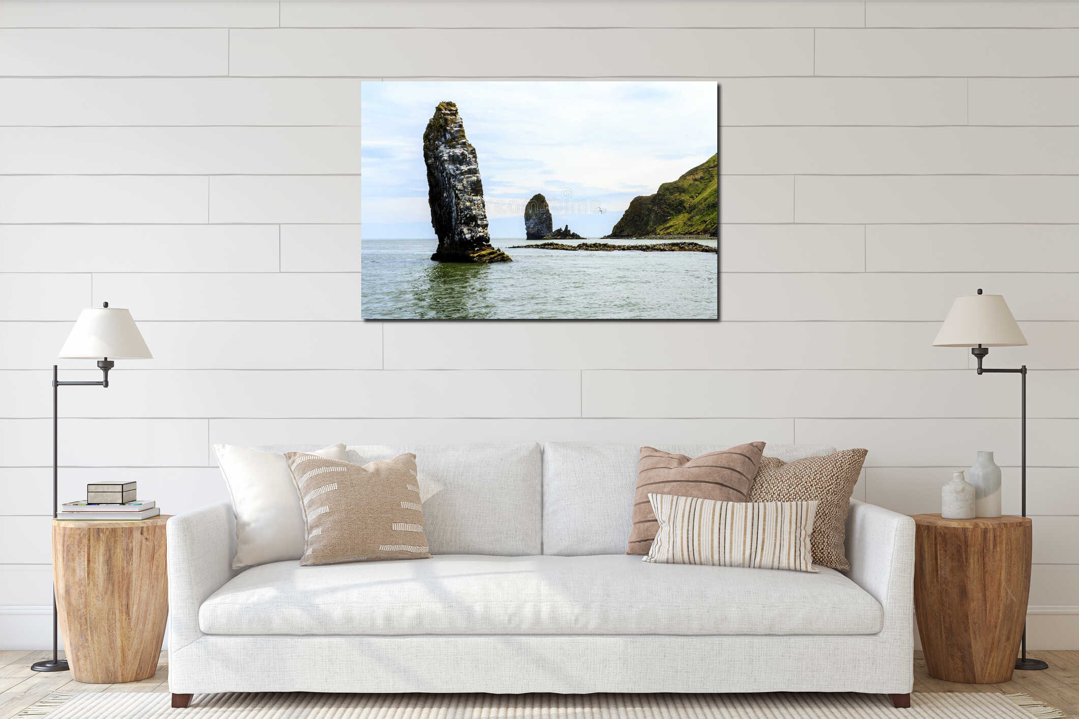 Seagull flying over big cliff where is colony of seabirds. Russia, Kamchatka Peninsula, nearby Cape Kekurny, Russian bay interior mockup