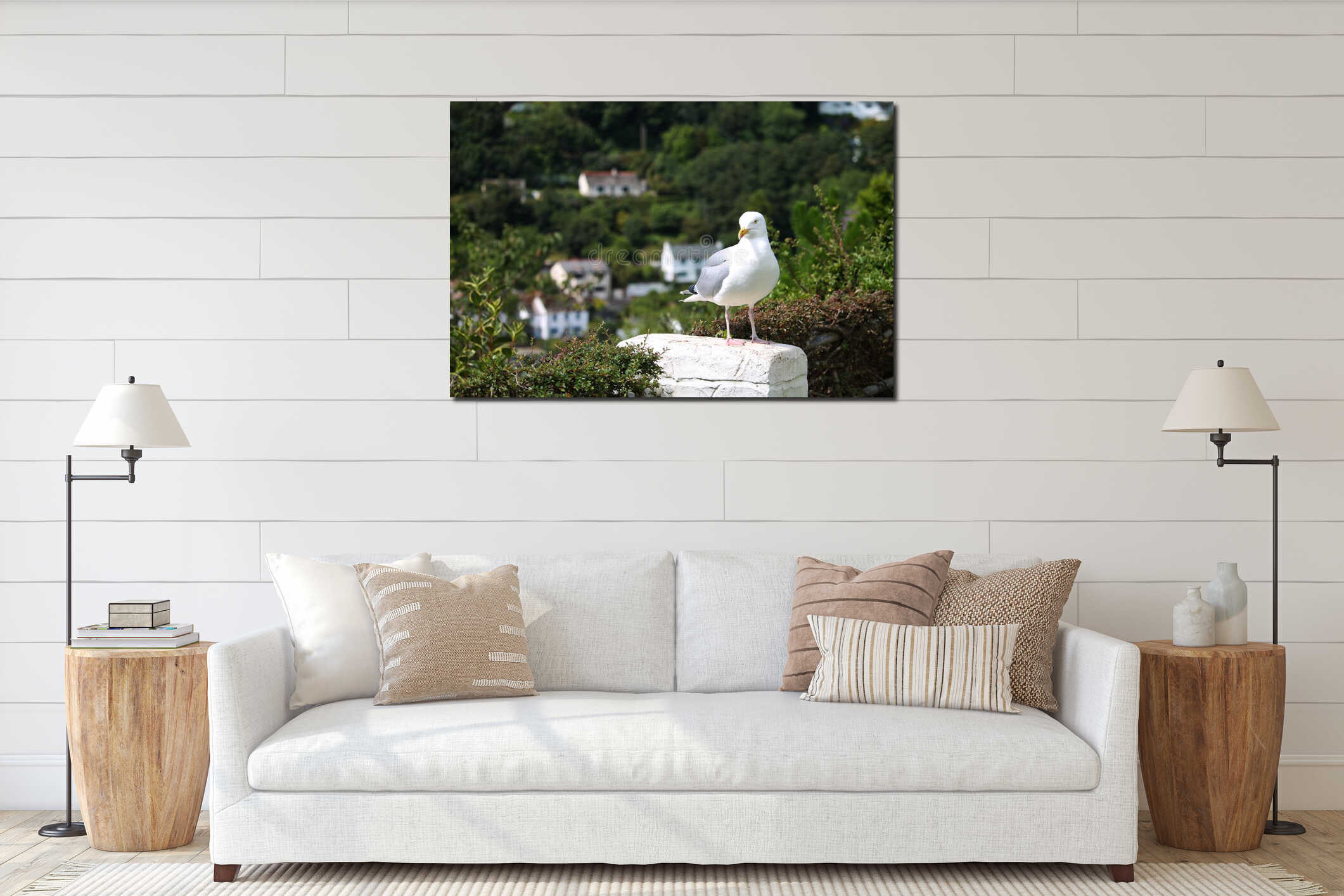 Seagull looking towards the camera with a coastal village backdrop interior mockup
