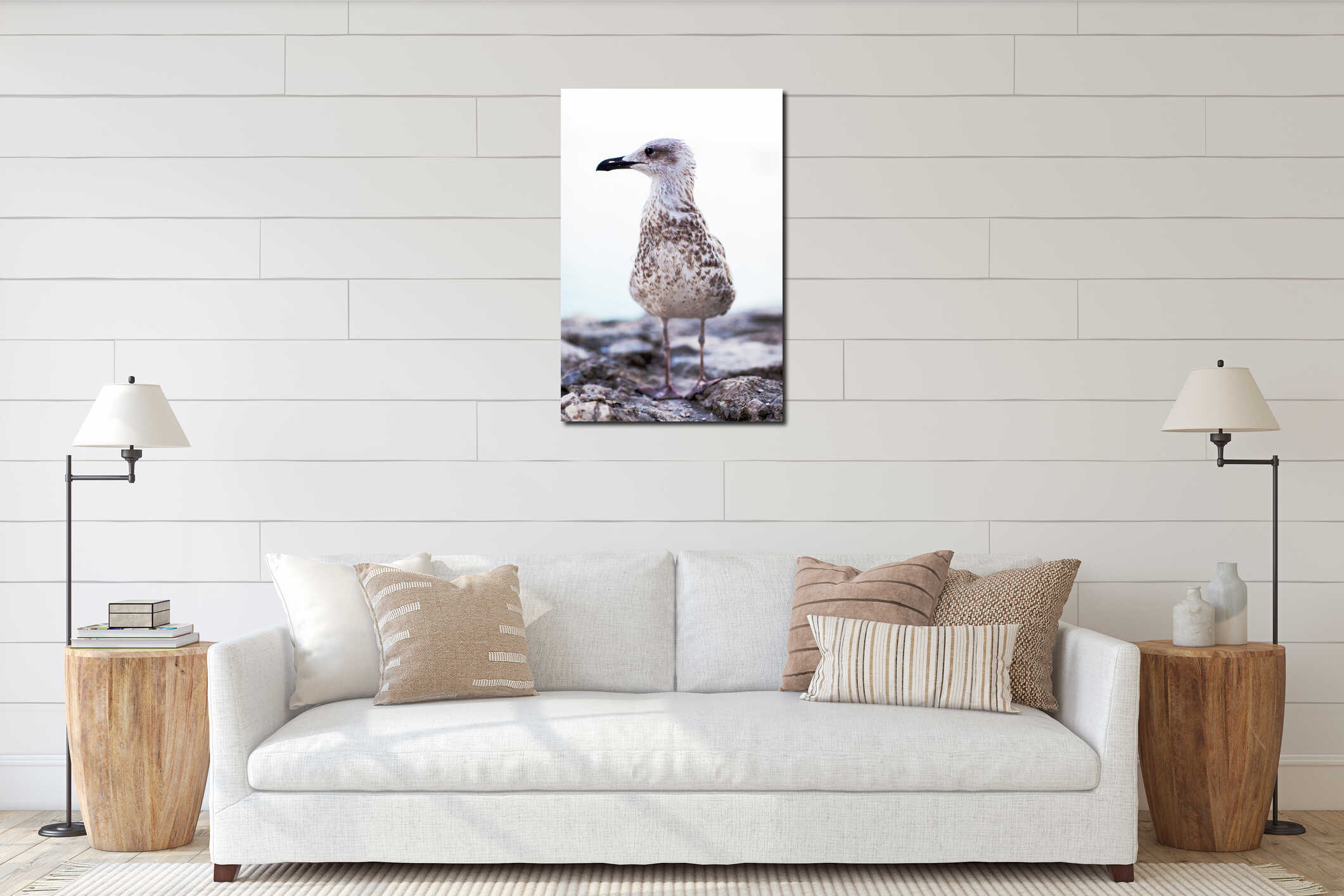 A gray seagull sits on a stone against the sea interior mockup