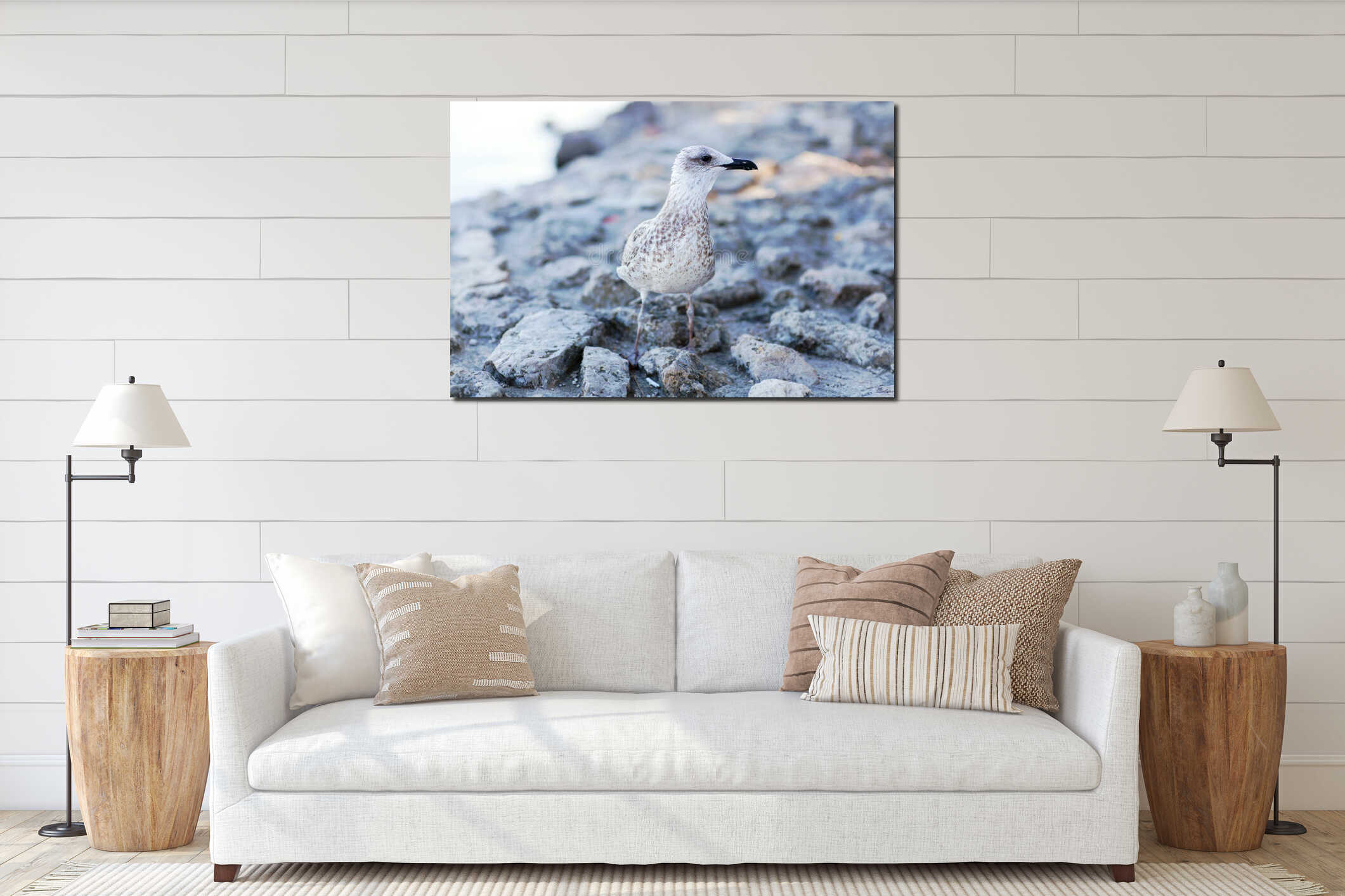 A gray seagull sits on a stone against the sea interior mockup