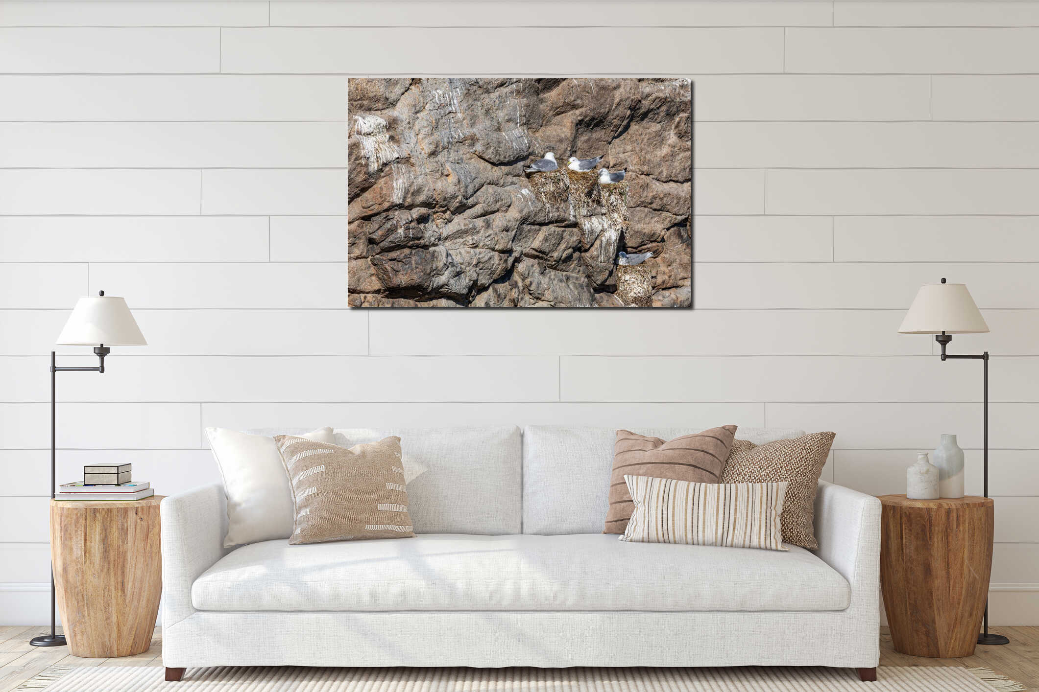 Seagull nesting in Lofoten Islands, Norway interior mockup