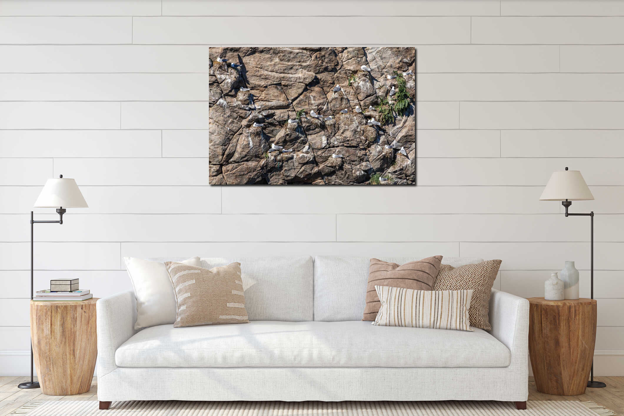 Seagull nesting in Lofoten Islands, Norway interior mockup