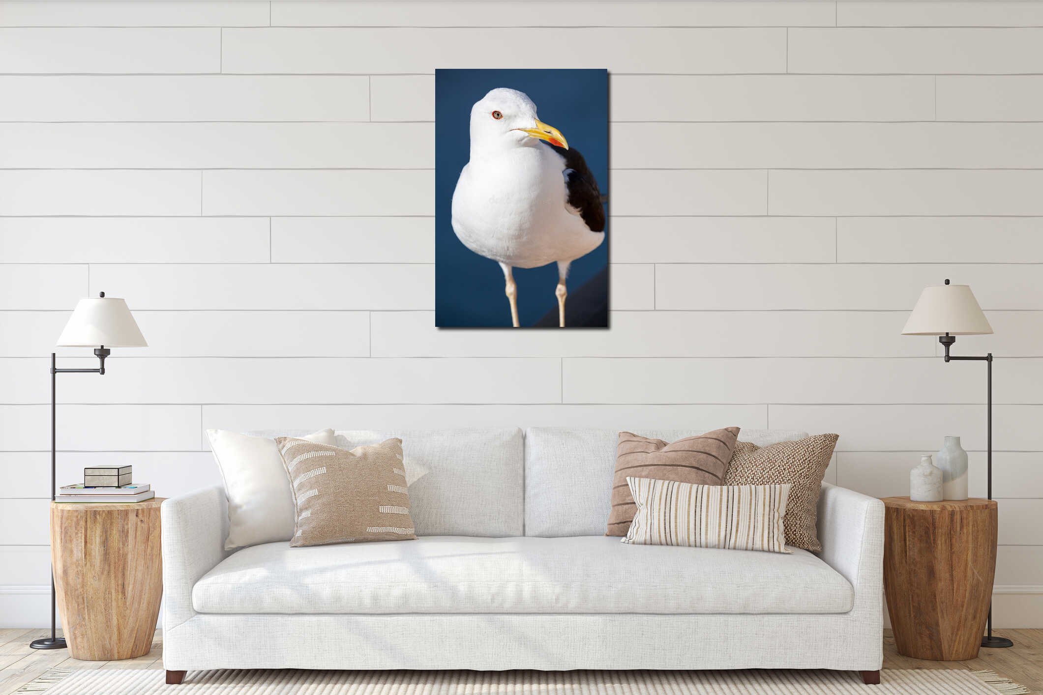 Black-backed seagull portrait, head close-up view interior mockup