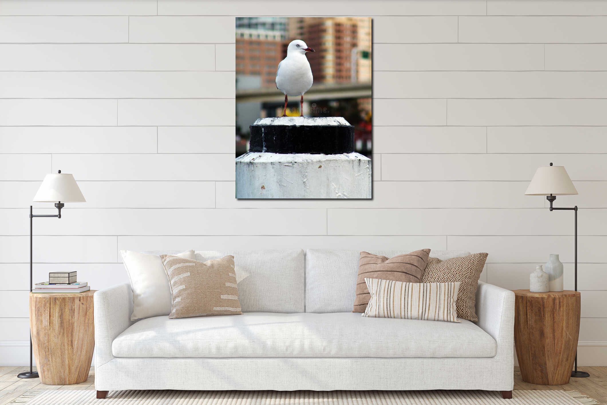Single seagull on a pillar looking for food interior mockup