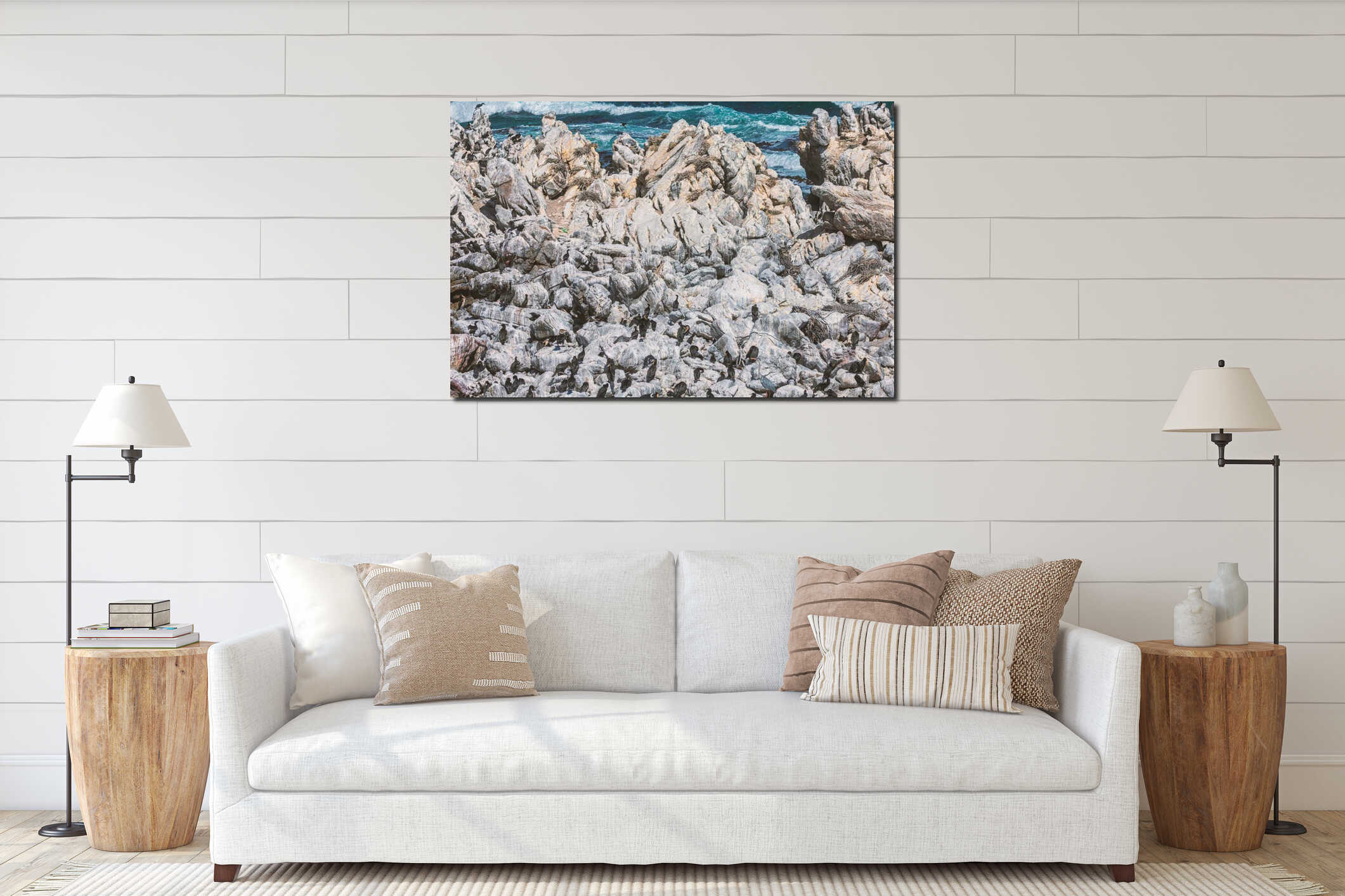 Cape cormorants sitting on a rocks in South Africa interior mockup