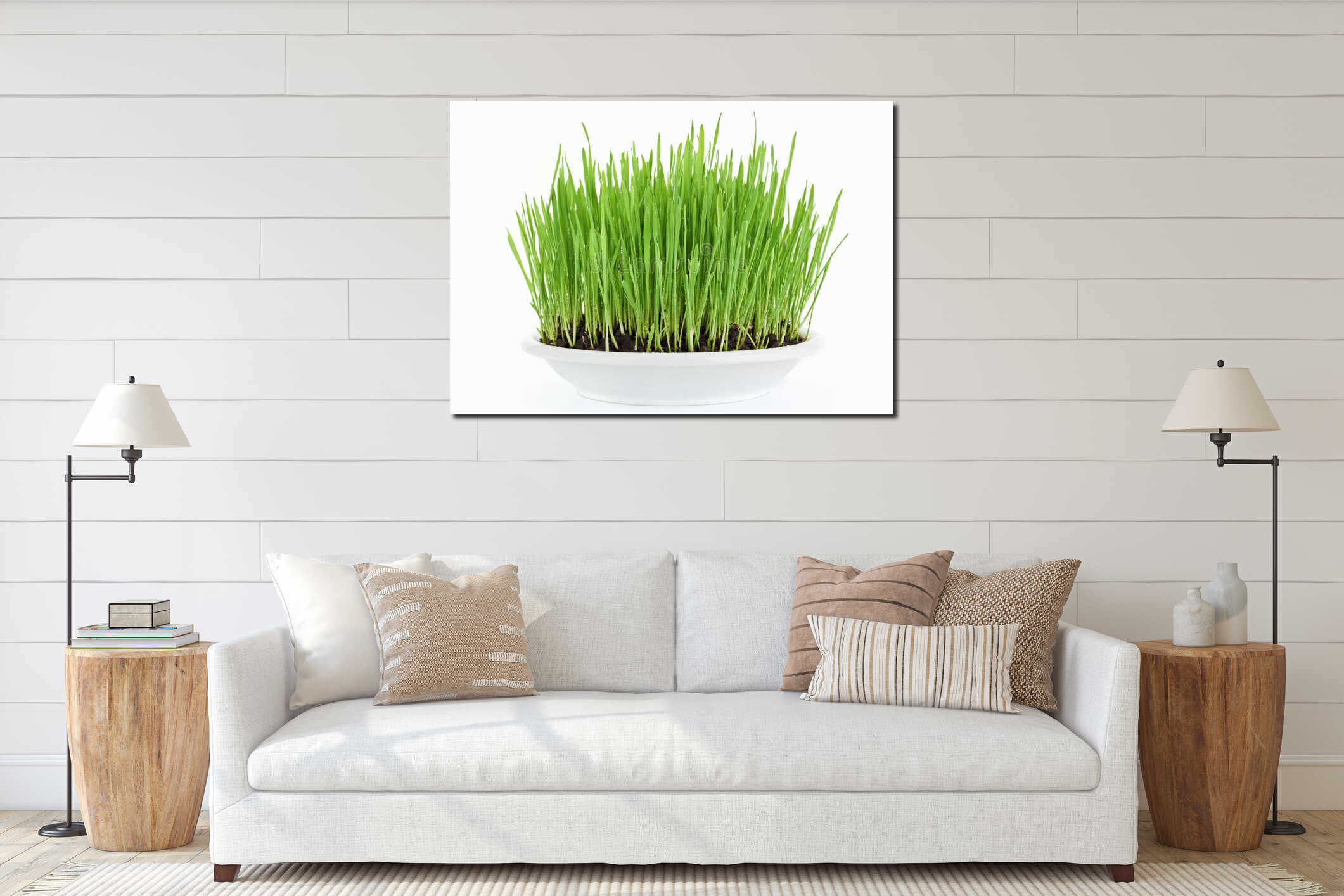 Fresh new green grass in white plate interior mockup