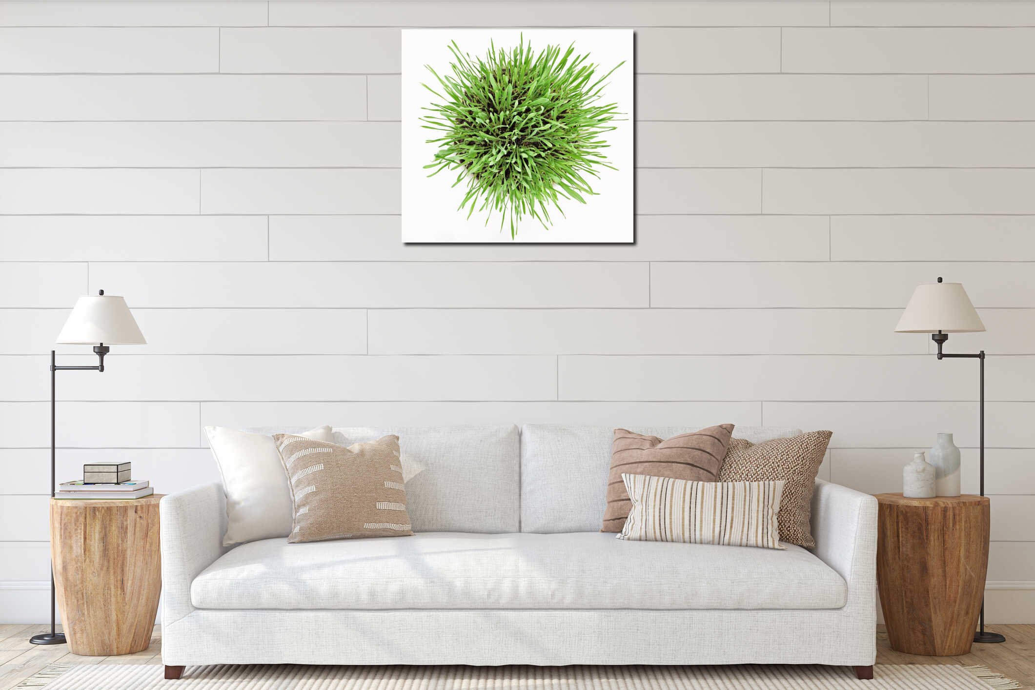 Fresh new green grass in white plate interior mockup