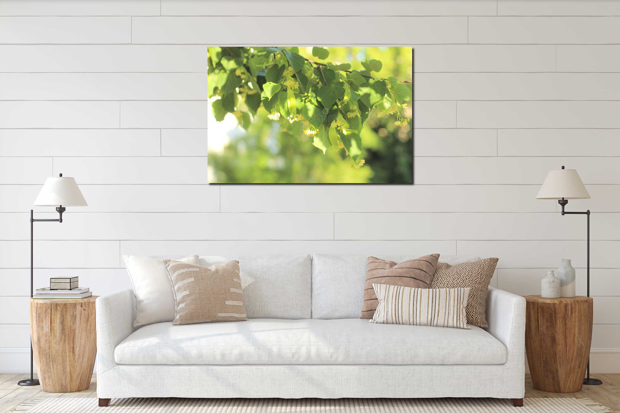 flowering linden tree at sunset interior mockup