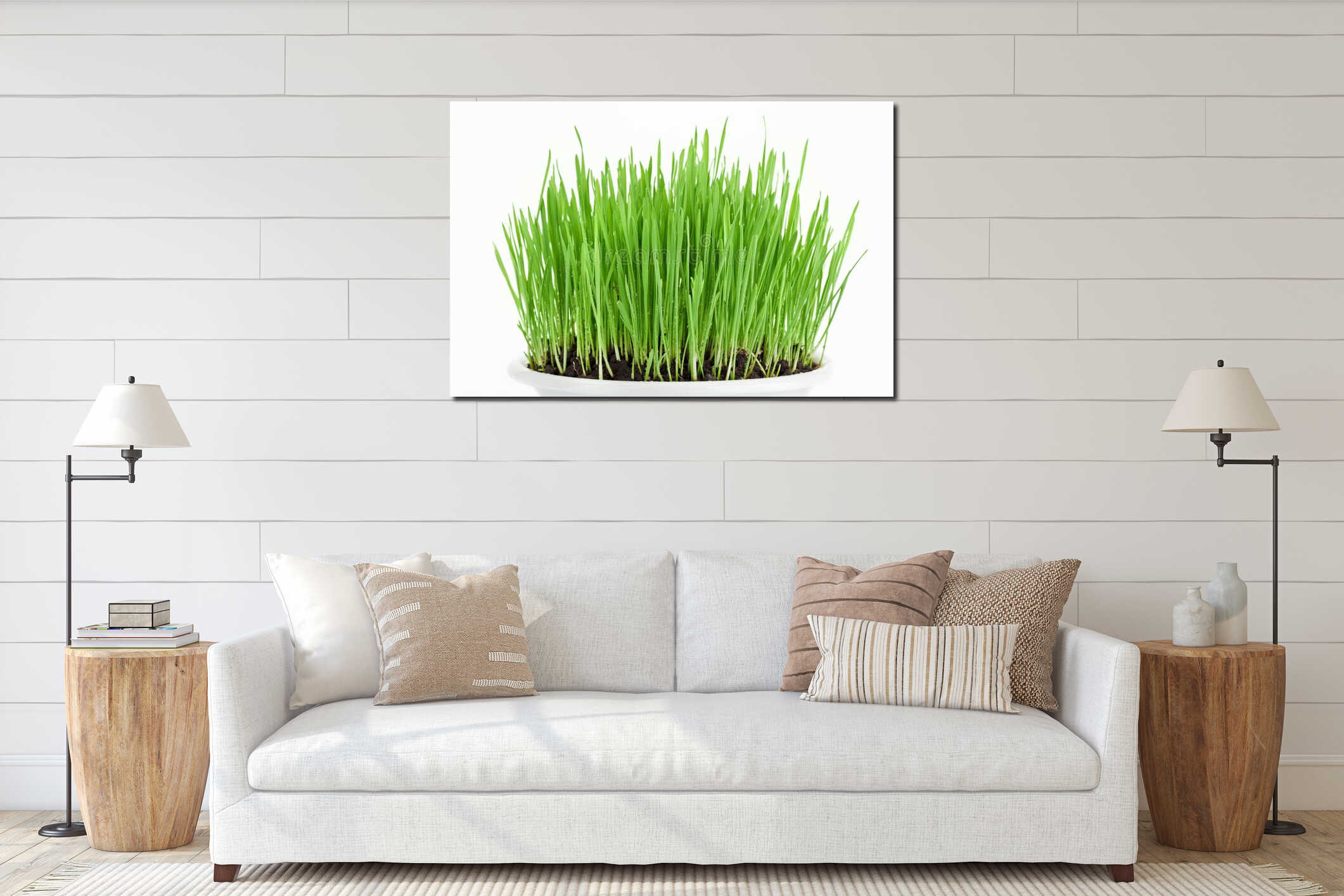 Fresh new green grass in white plate interior mockup
