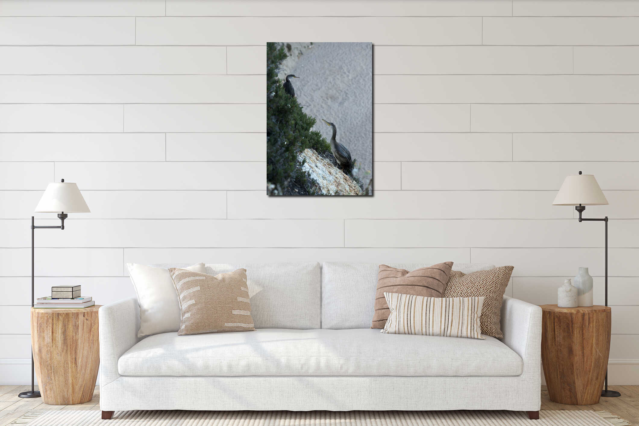 Large birds similar to cormorants cormorants sitting on coastal rocks interior mockup