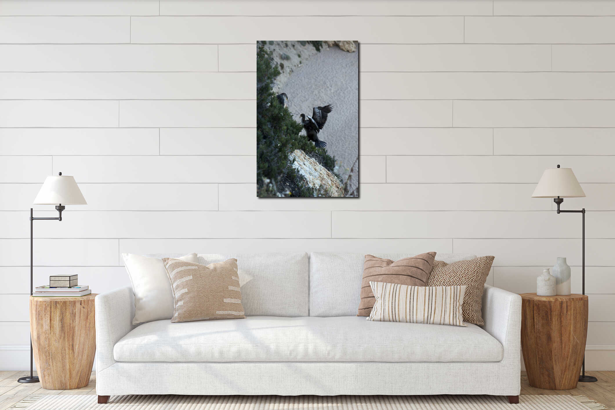 Large birds similar to cormorants cormorants sitting on coastal rocks interior mockup