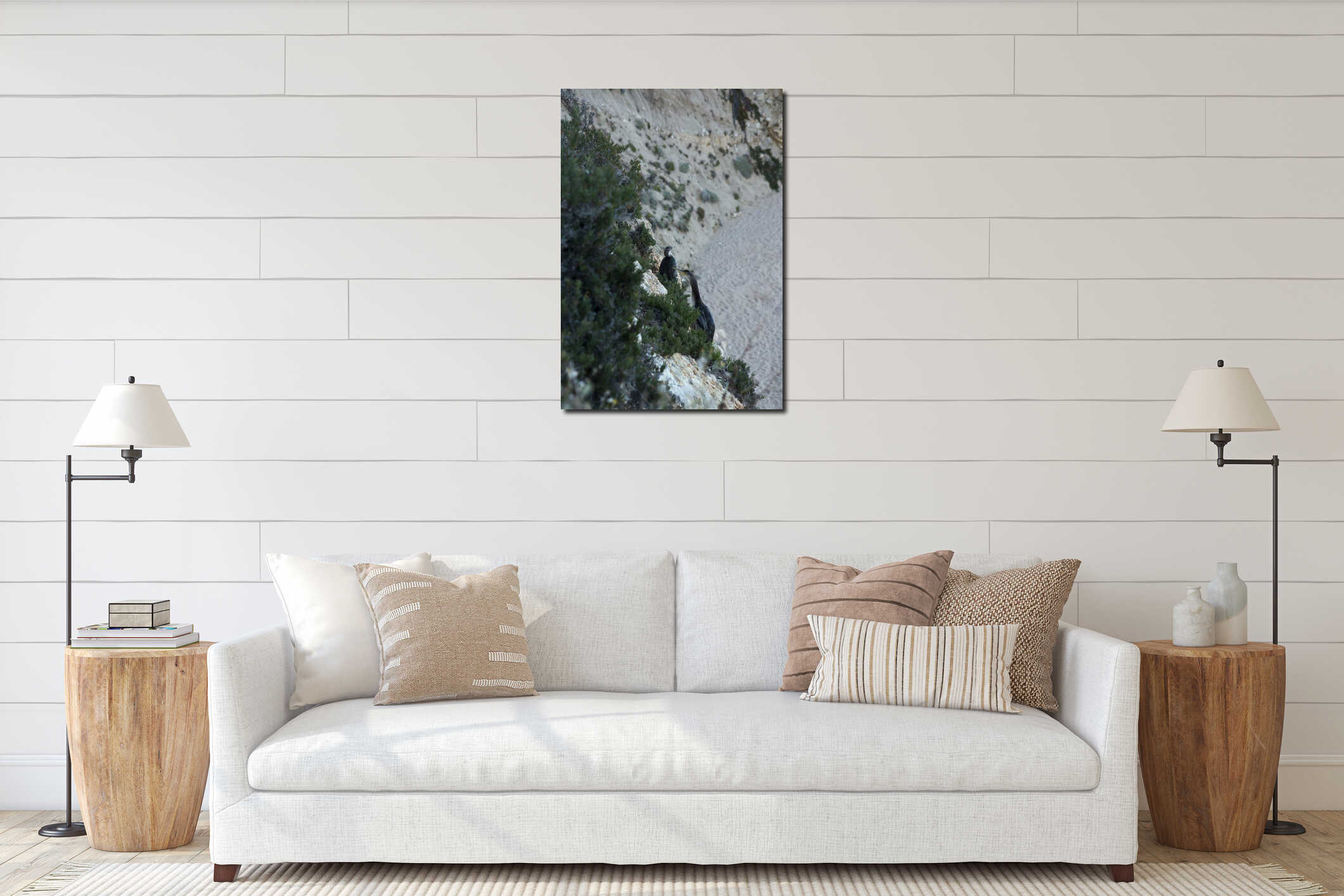 Large birds similar to cormorants cormorants sitting on coastal rocks interior mockup
