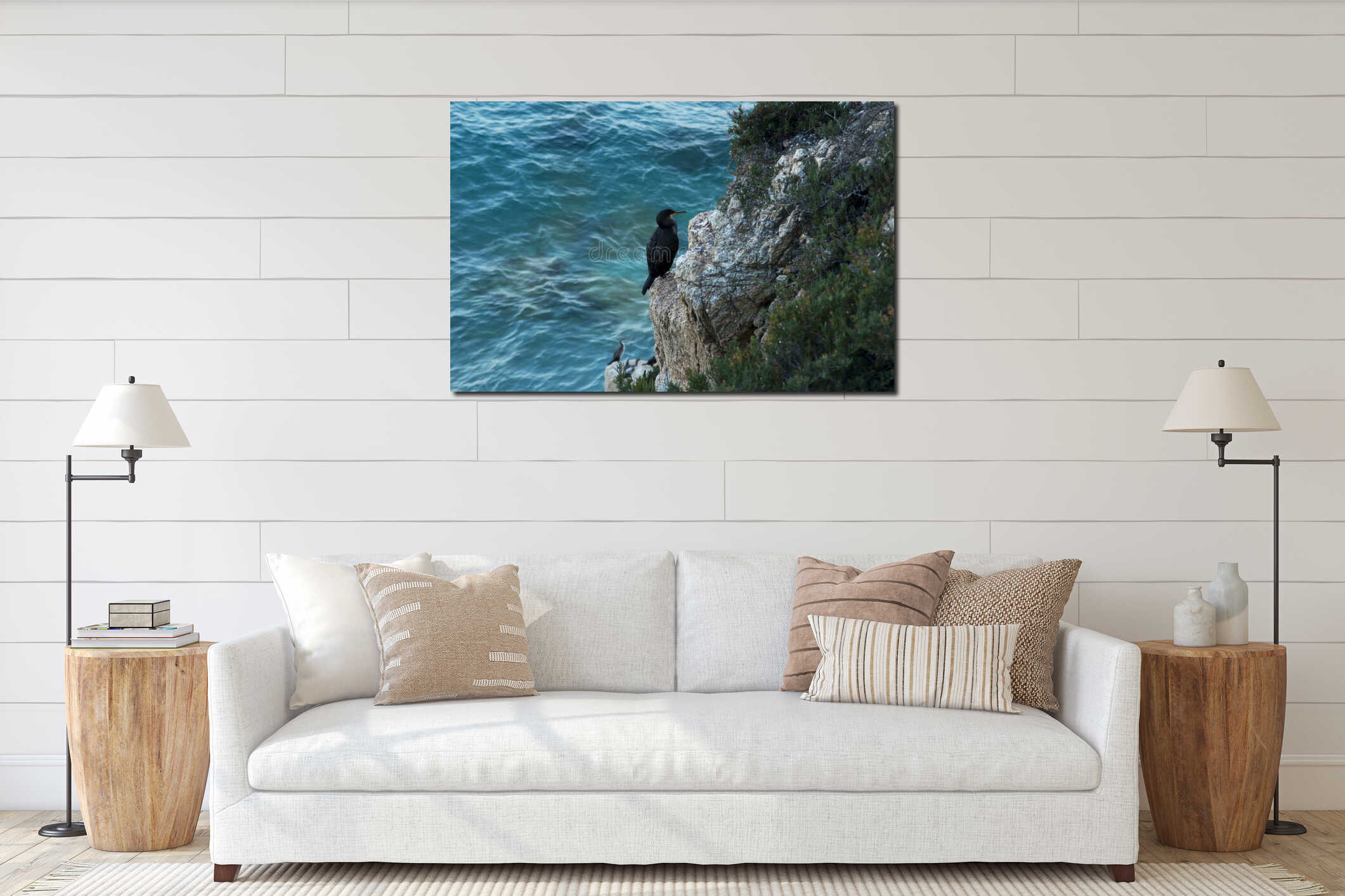 Large birds similar to cormorants cormorants sitting on coastal rocks interior mockup