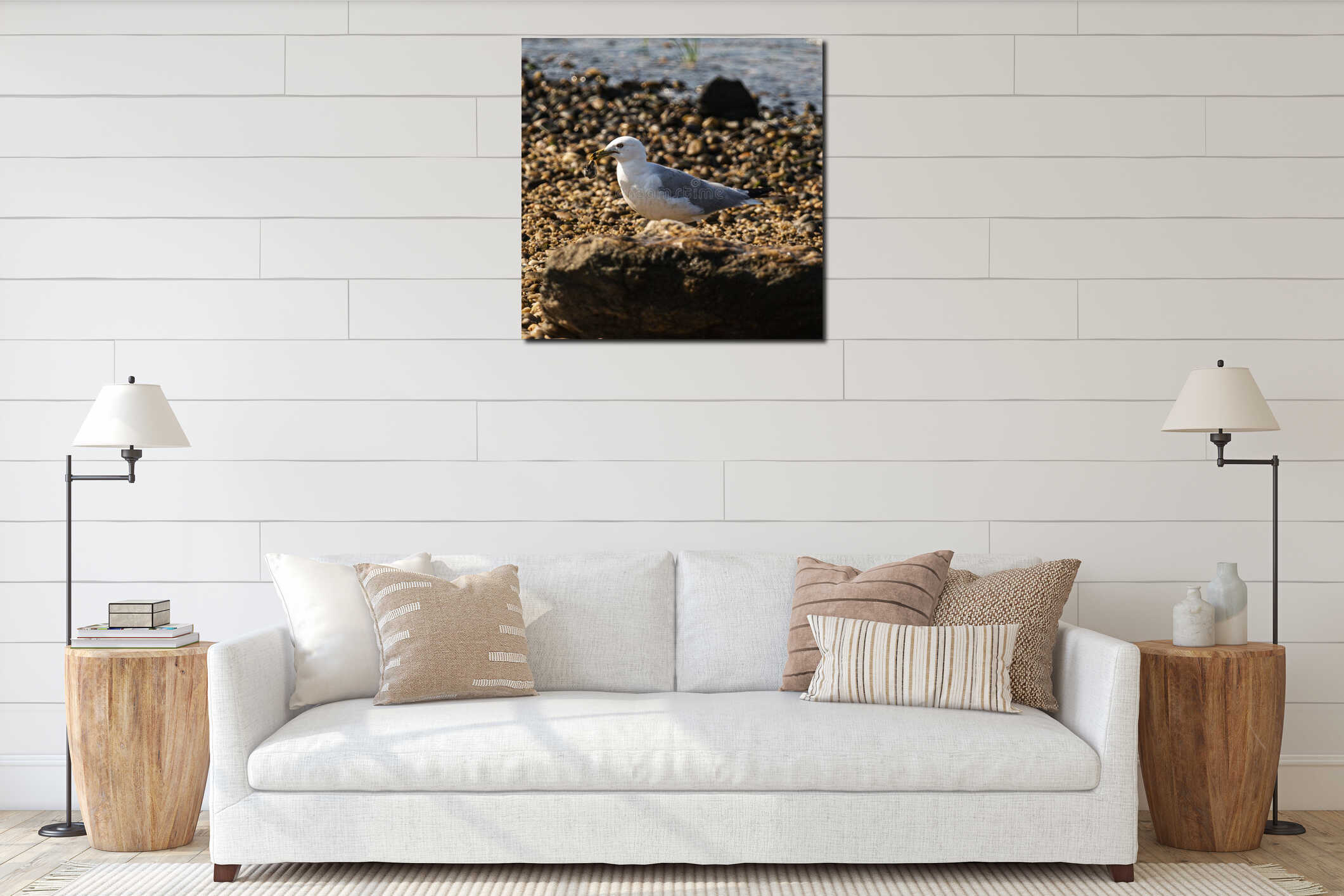 Side view of seagull on rocky beach with a steamer clam interior mockup