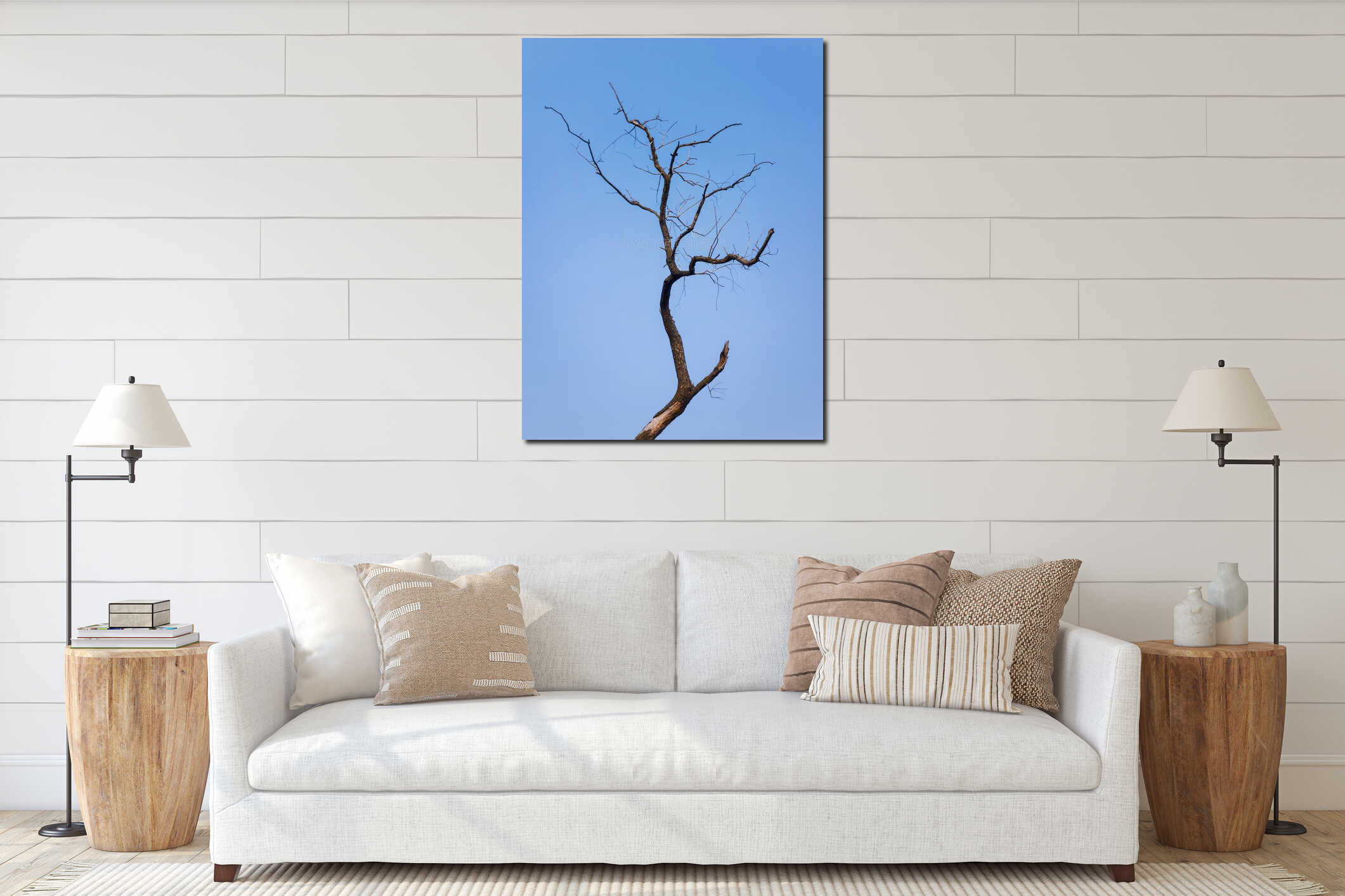 Silhouette of lonely bare tree isolated on blue sky background. Abstract dry willow branches, dramatic natural texture. Dead interior mockup