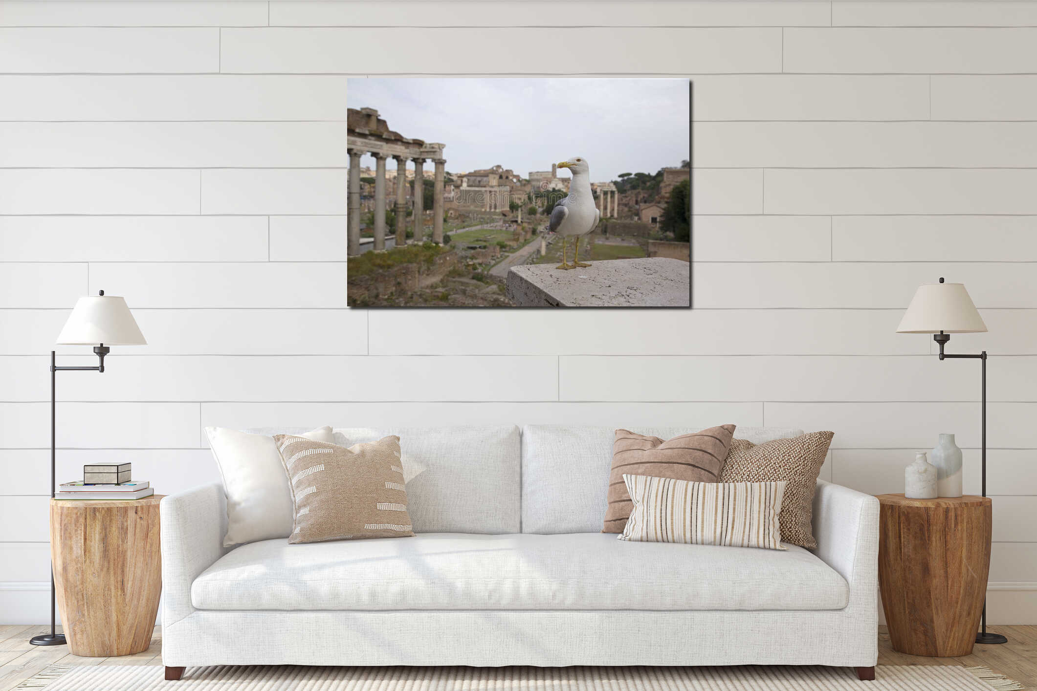 An adult yellow-legged gull photographed with a wide angle in front of the plaza of the Roman Forum. interior mockup