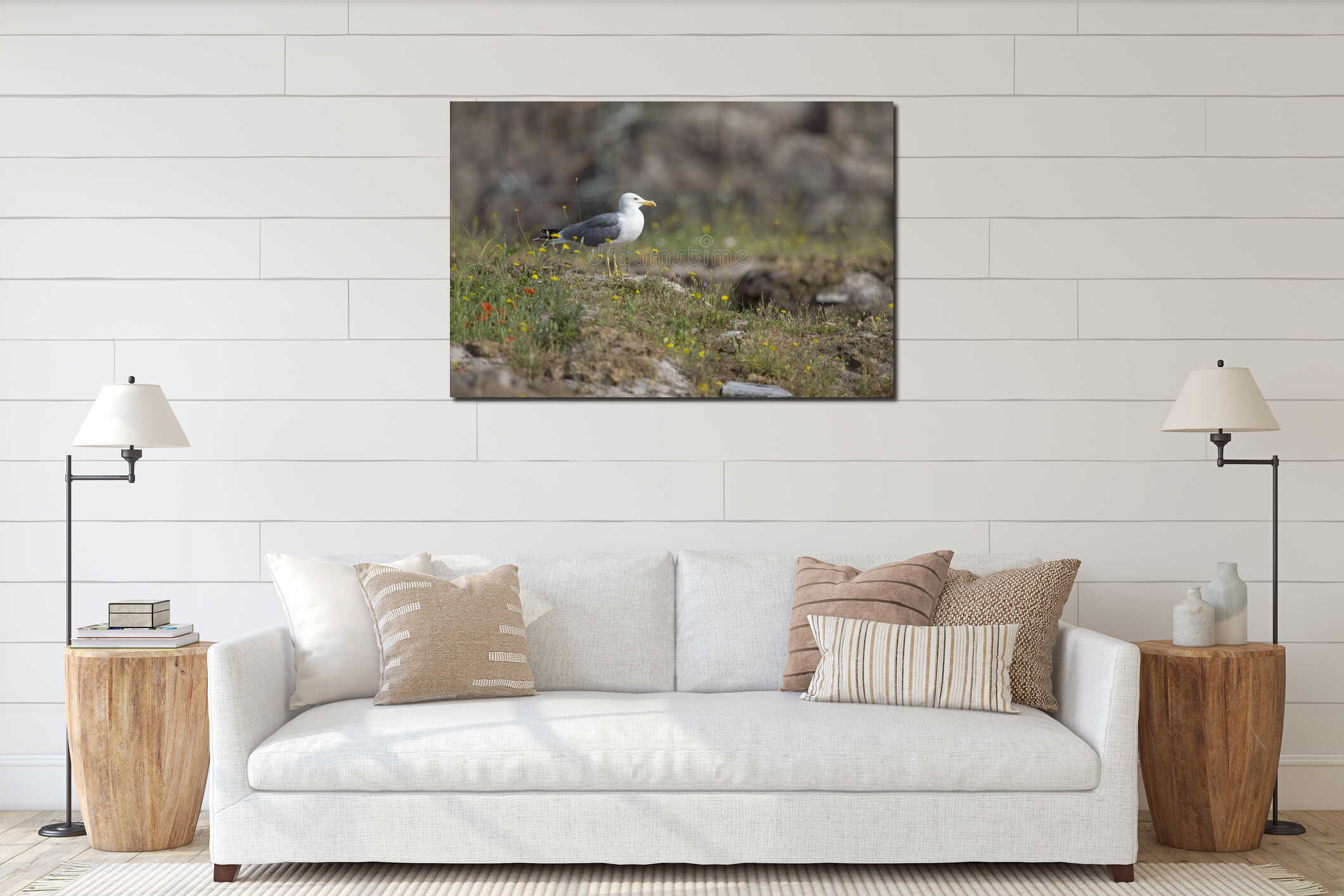 An adult yellow-legged gull perched on the ruins of the Trajan`s Forum in Rome ci interior mockup
