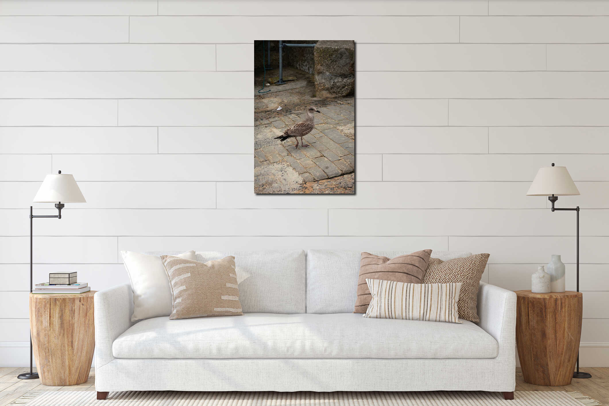 Young seagull walking - St. Ives - Cornwall interior mockup