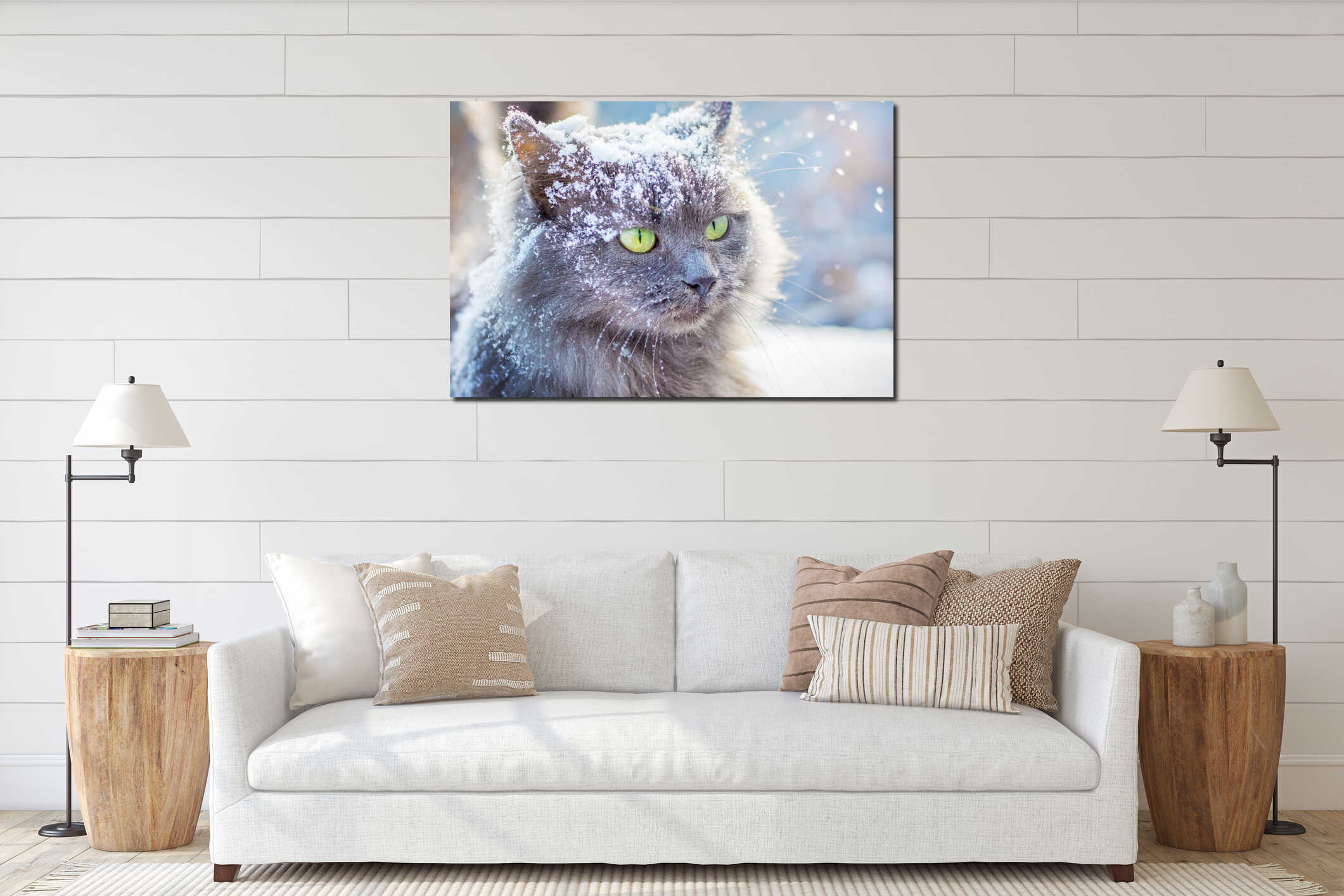 Gray snow-covered cat with green eyes in winter outdoors_ interior mockup