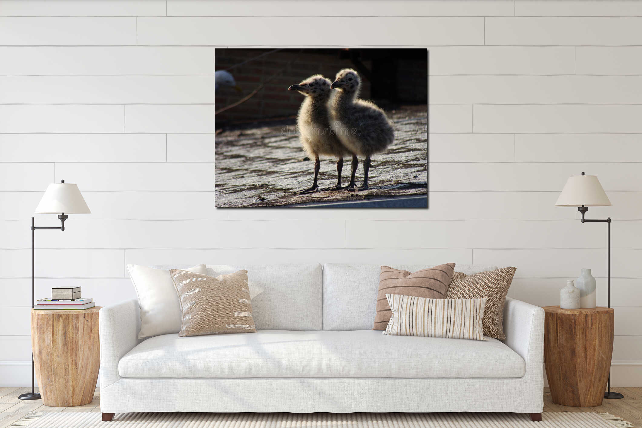 Seagull chicks are waiting their parents. Two cute seagull nestlings walking of the roof against sunlight interior mockup