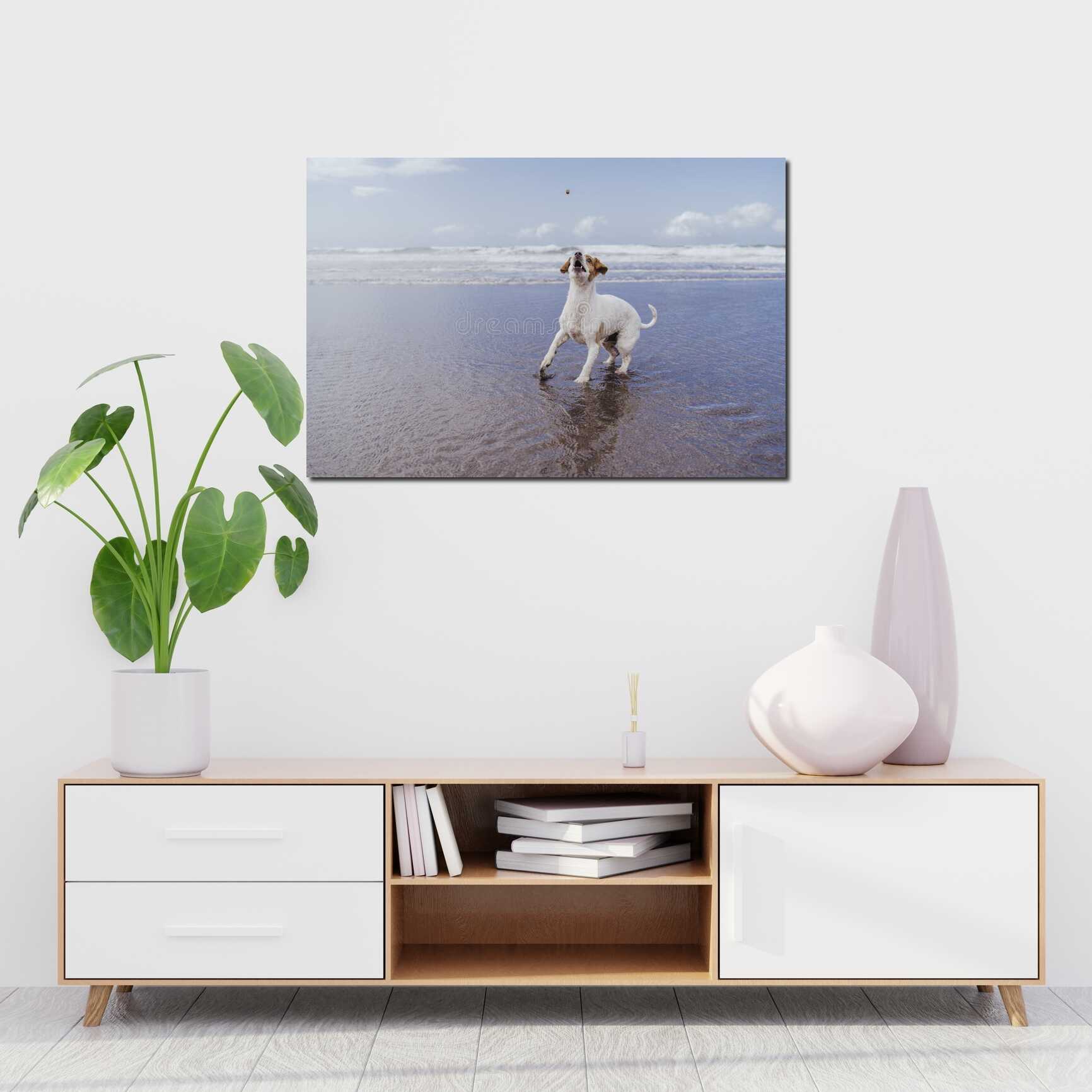 Canvas above sofa for size context