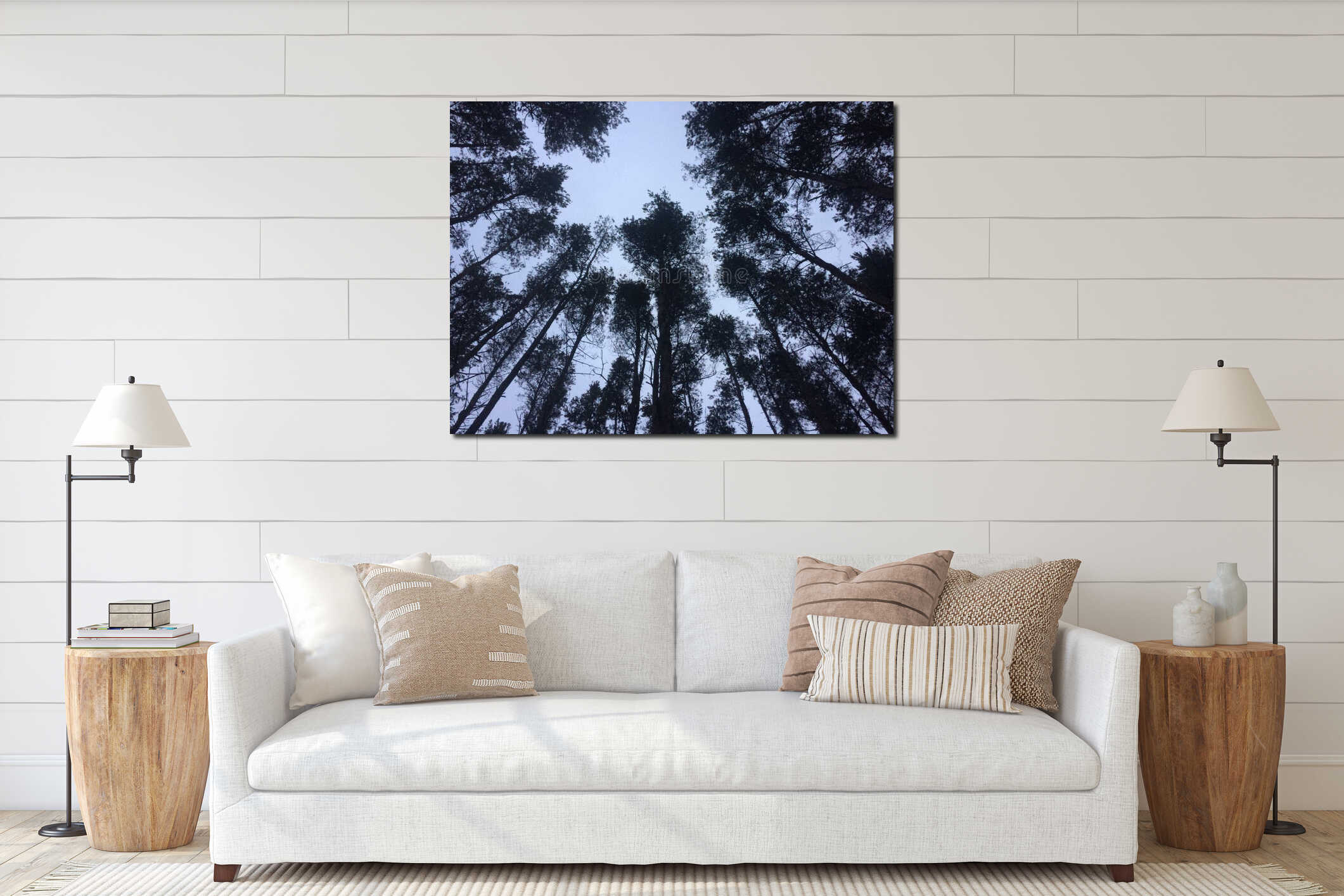 Classic wide-angle view of famous giant pine trees, known as giant redwoods or Siberia redwoods interior mockup