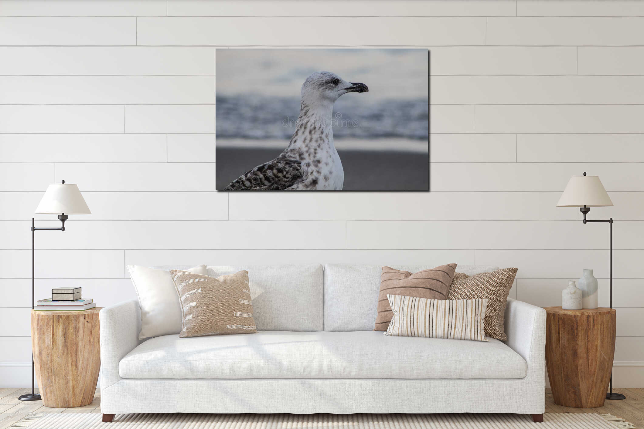 seagull looking towards the horizon and with the sea in the background interior mockup