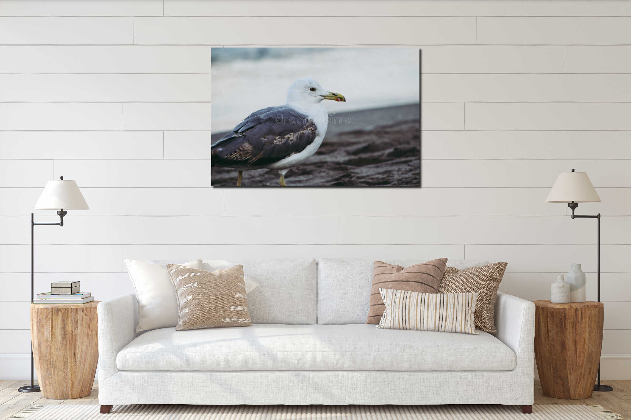 details of a seagull looking towards sea interior mockup