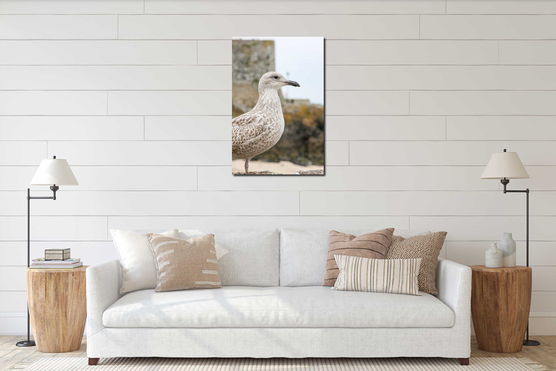 seagull head detail background interior mockup