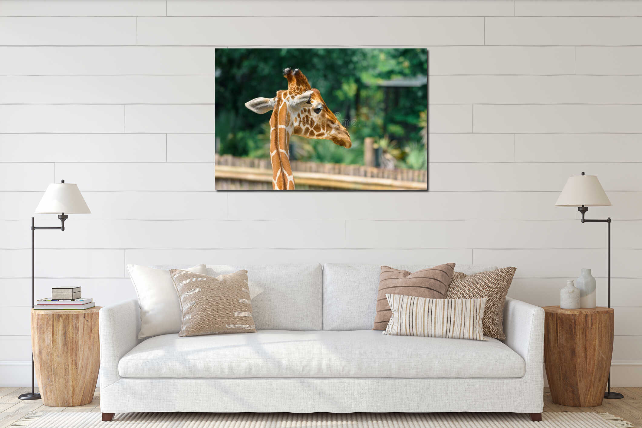 Close up Portrait of single giraffe. interior mockup