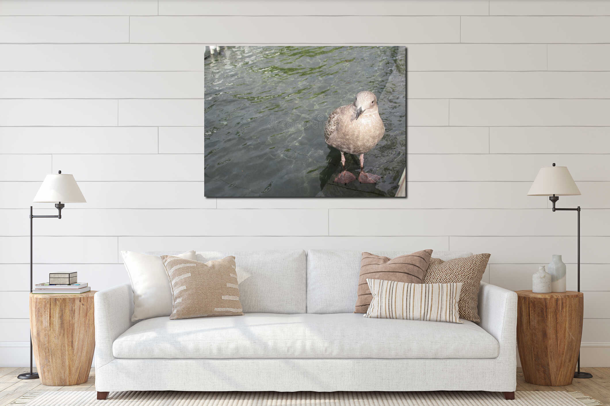 Closeup Adorable Juvenile Seagull Standing At The Edge of Fountain Water interior mockup