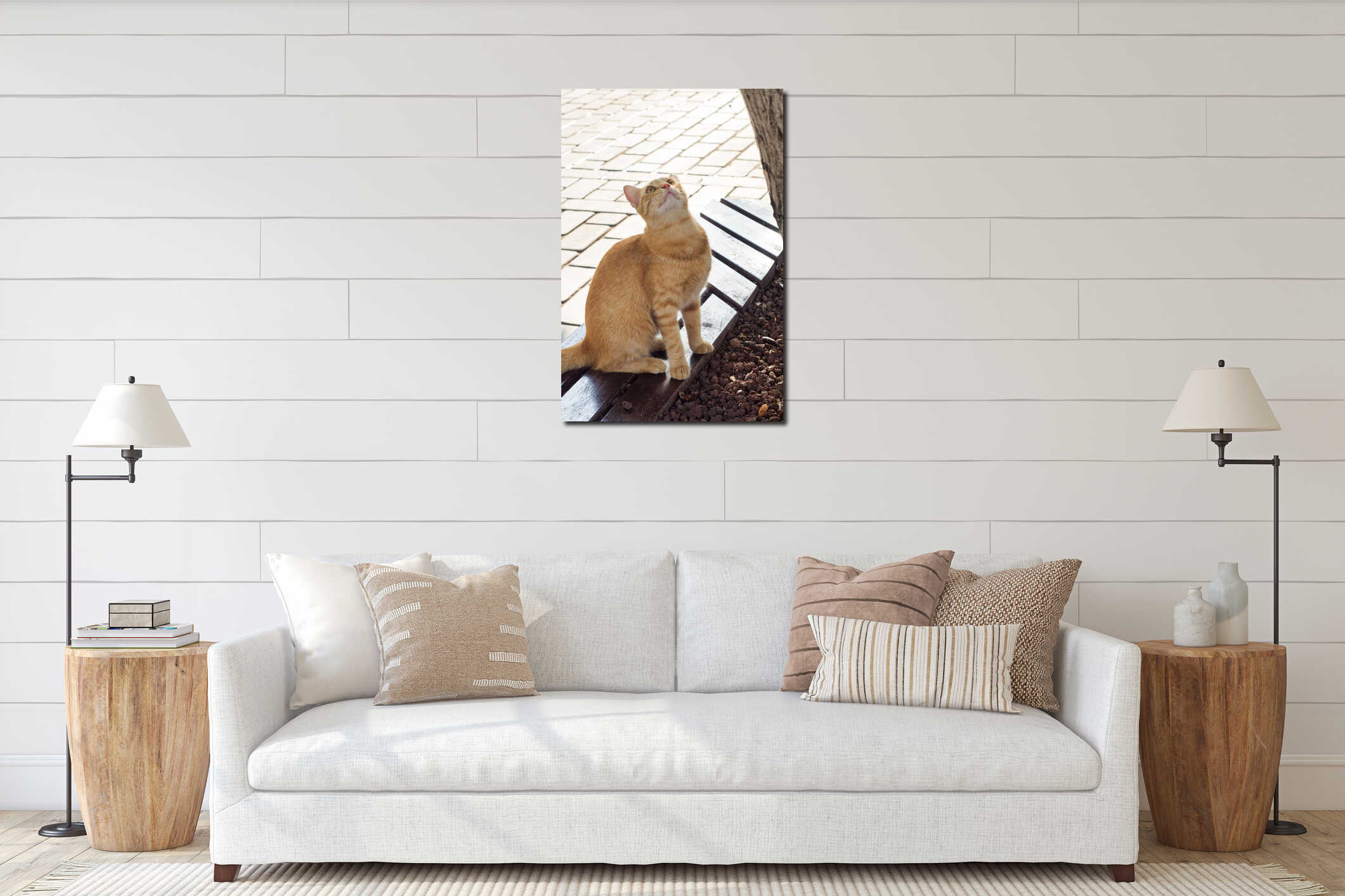 Homeless ginger cat on the street looking at the birds in the tree interior mockup