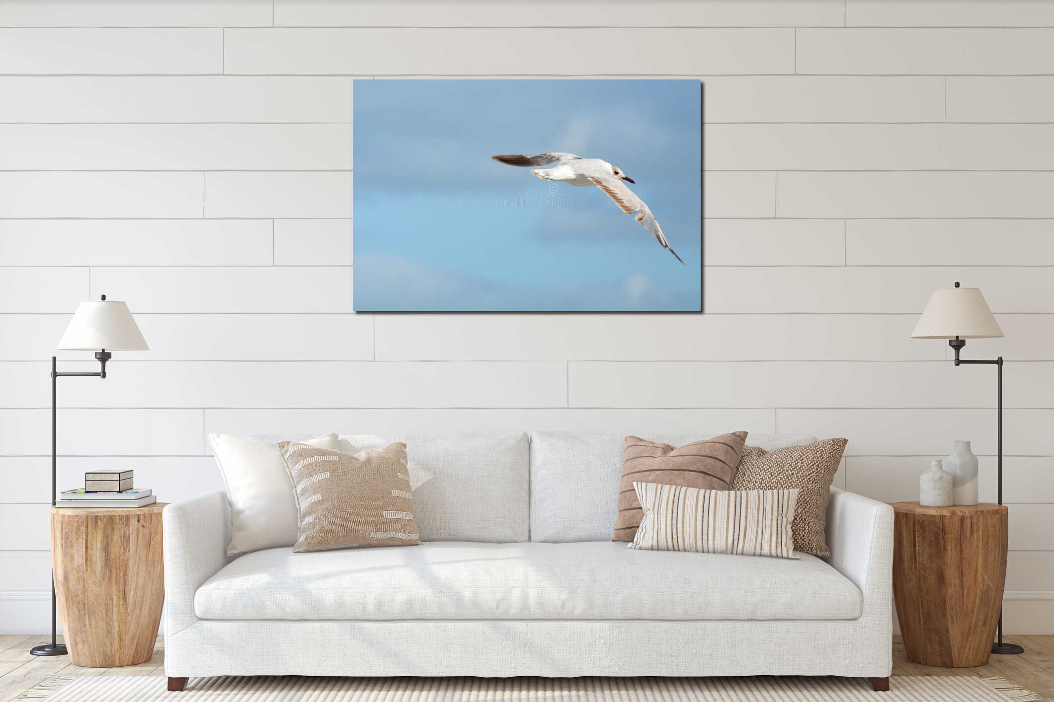 Seagull bird wildlife flying freedom over blue sky outdoor nature awe inspiring view interior mockup