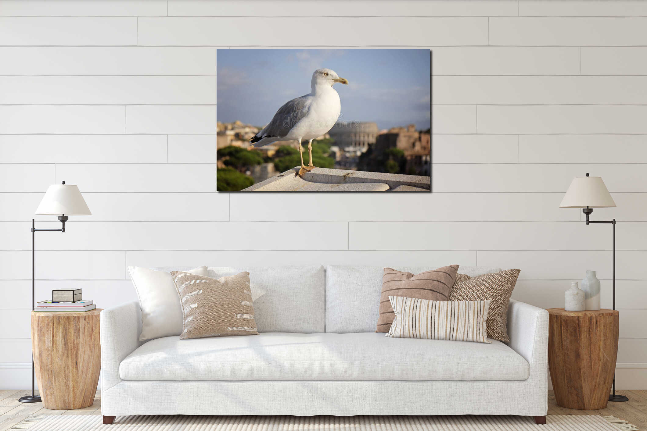 An adult common gull or Mew gull standing on a roof, Colosseum of Rome on the background interior mockup
